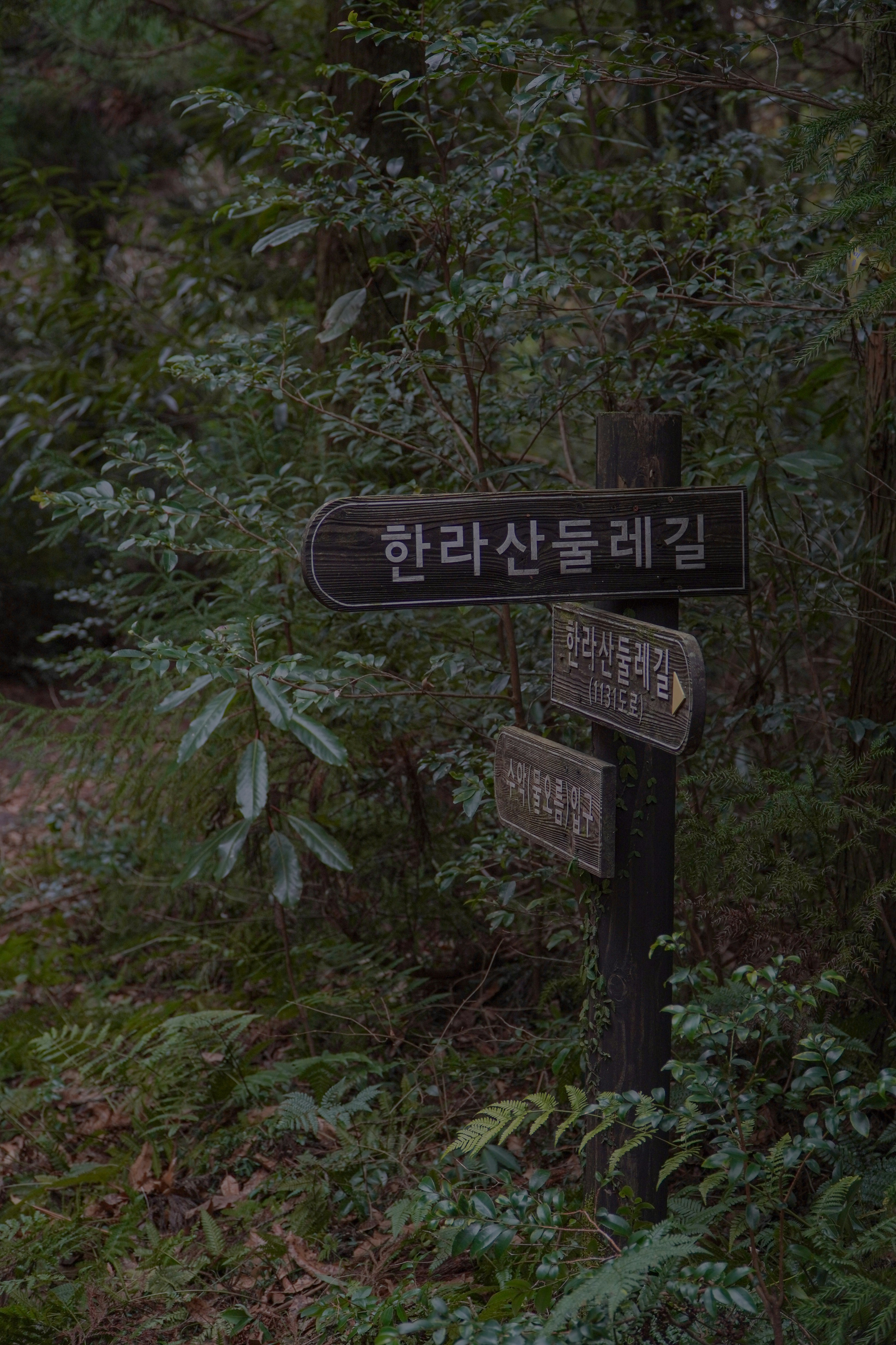 Exploring Nature Trails at Hallim Park: A Family Guide to Diverse Plant Displays and Garden Walks