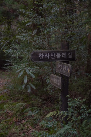A wooden signpost surrounded by lush greenery, featuring dense foliage and a variety of plants and ferns. The signs display Korean text and are set in a natural, forested environment.