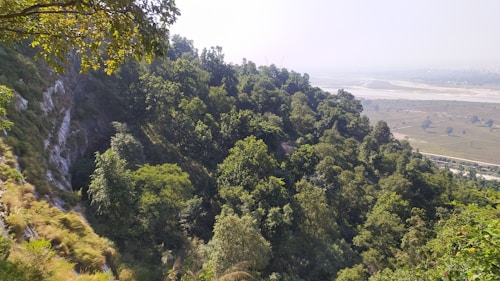 A lush green forested hillside stretches across the frame with dense foliage. The view extends to a distant landscape featuring open fields and a hazy horizon. Sunlight filters through the tree canopy, adding a sense of warmth to the natural scenery.
