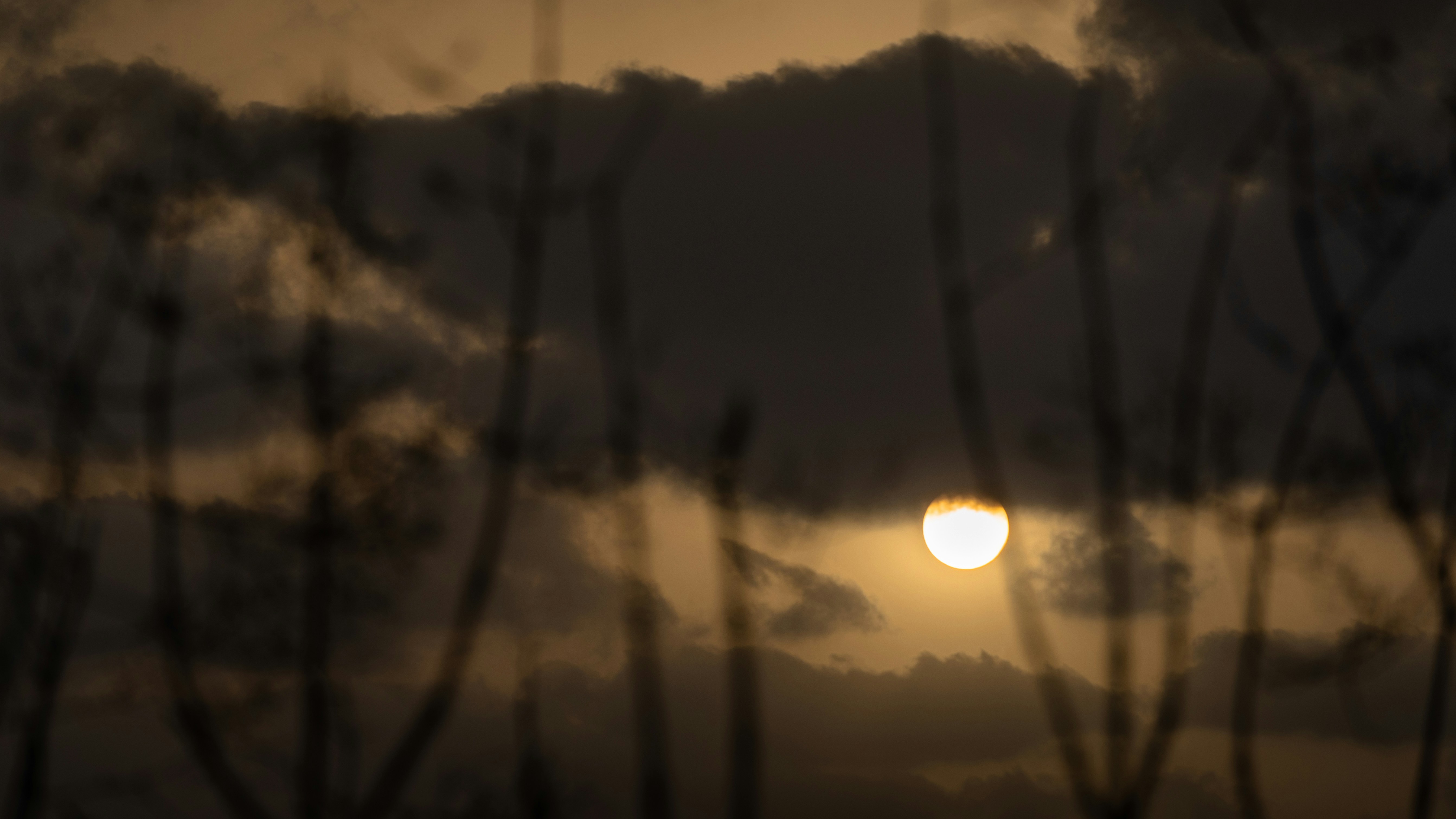 Photo by priyankdholakiya