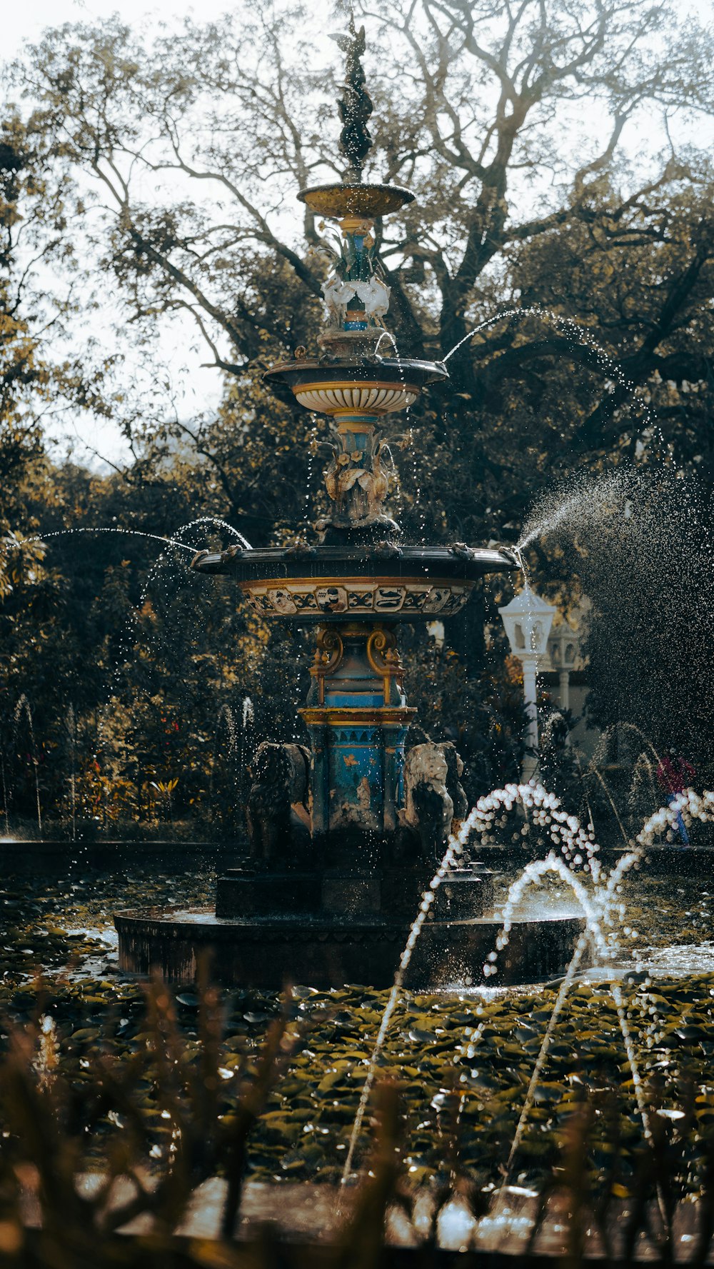 a fountain in a park surrounded by trees