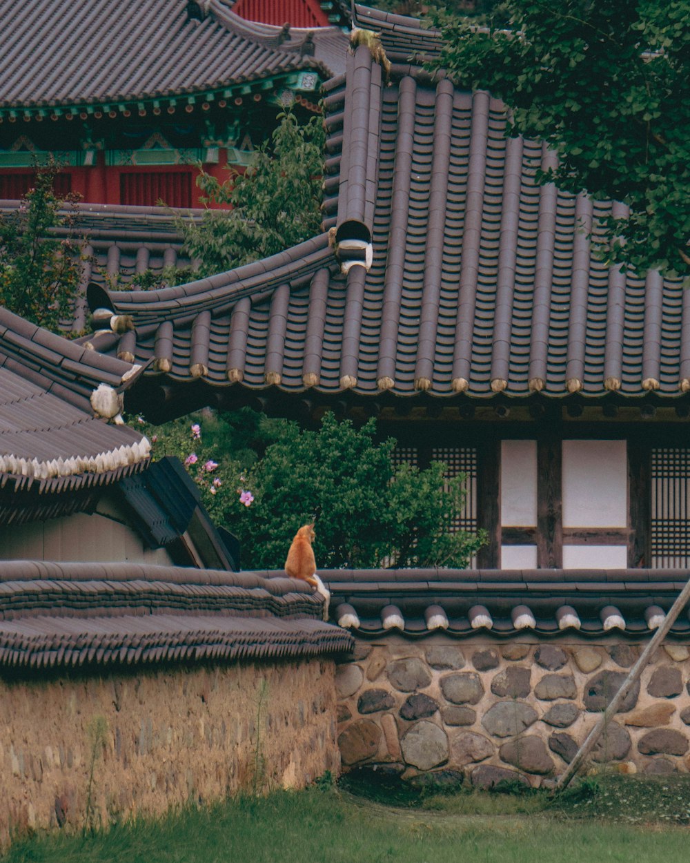 a bird is perched on the roof of a building