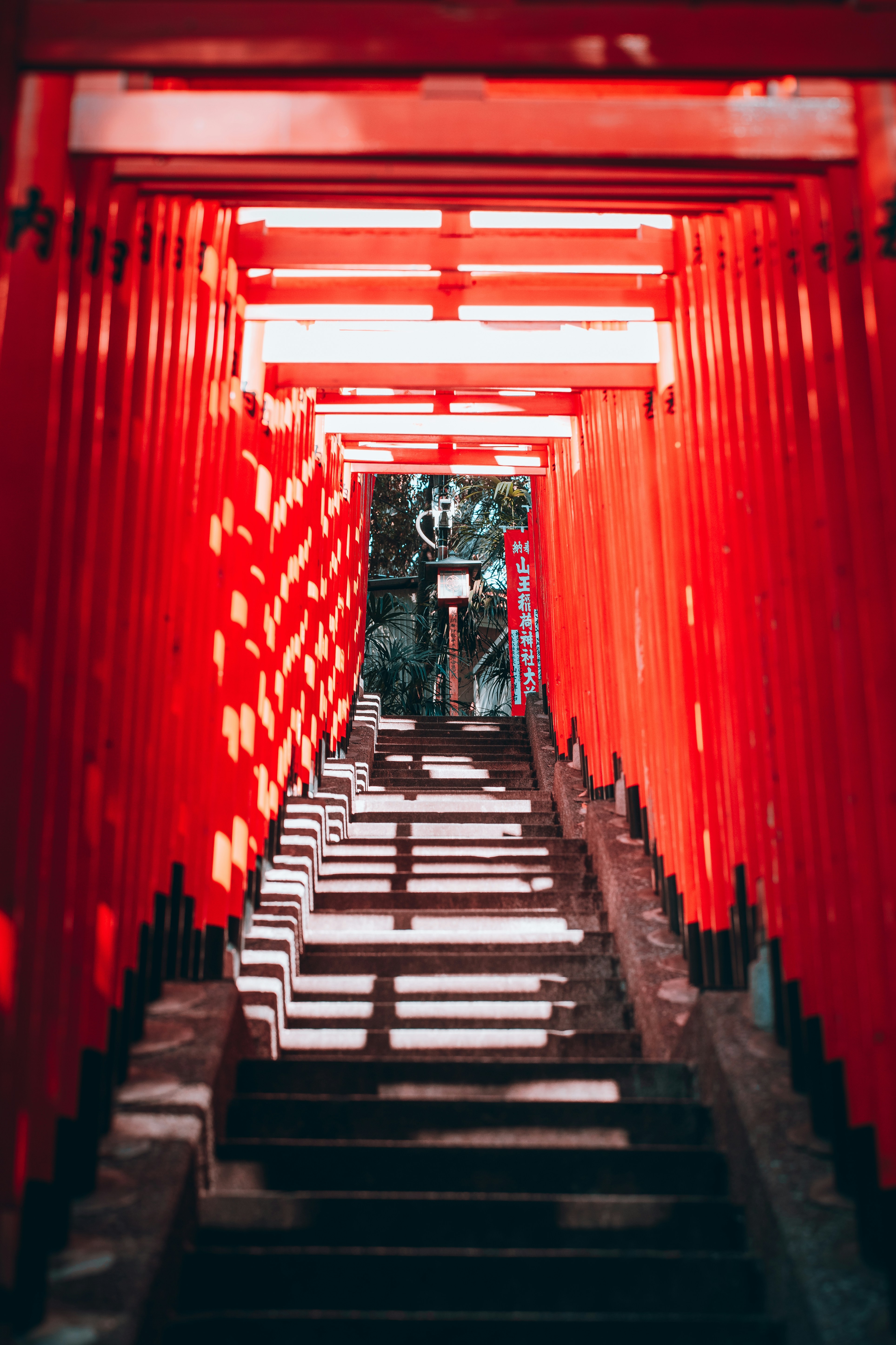 Photo by shields_mcmxcix