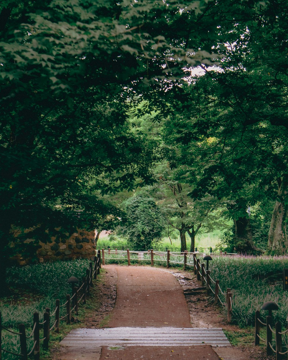 a wooden walkway leading to a lush green park