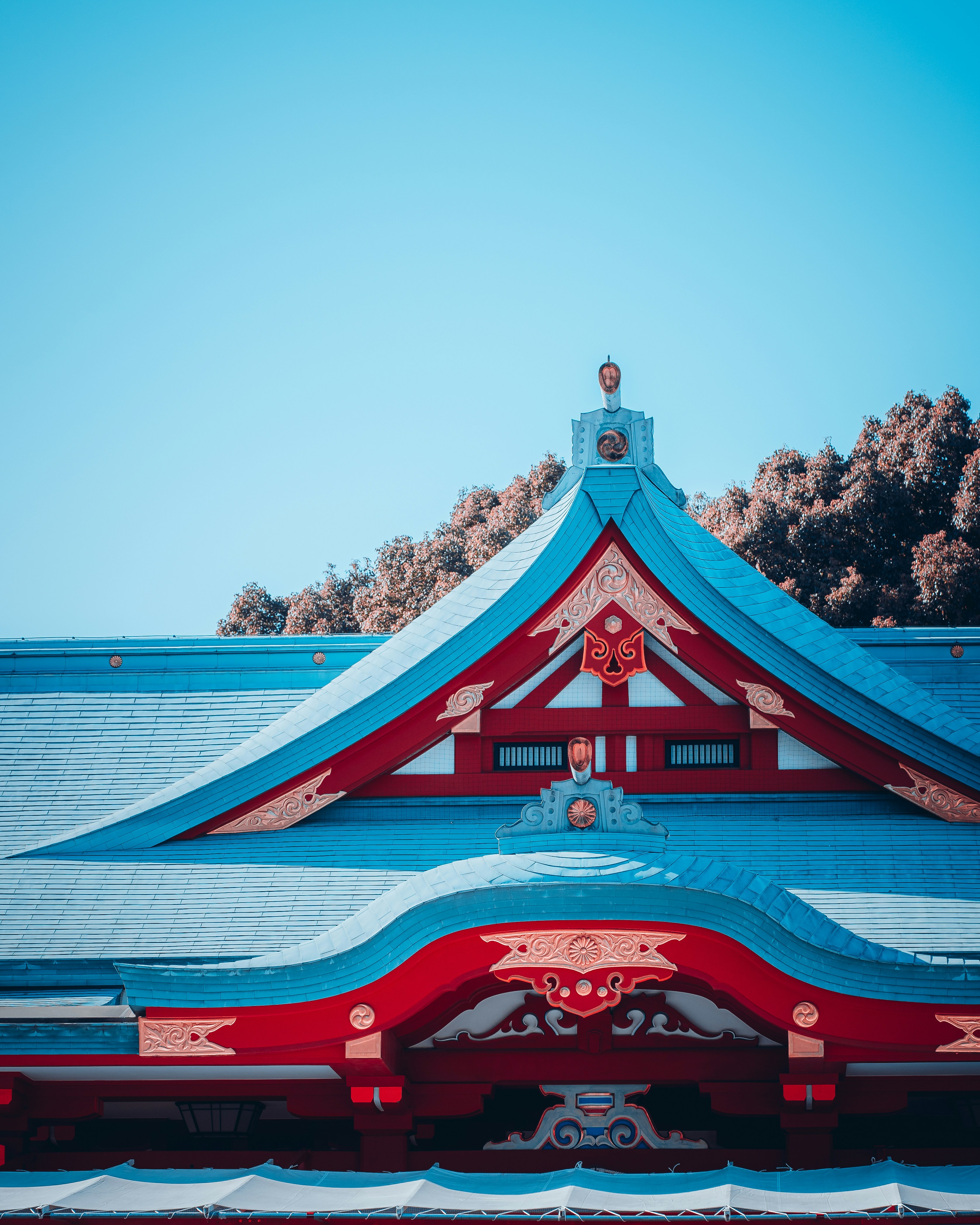 Photo by shields_mcmxcix