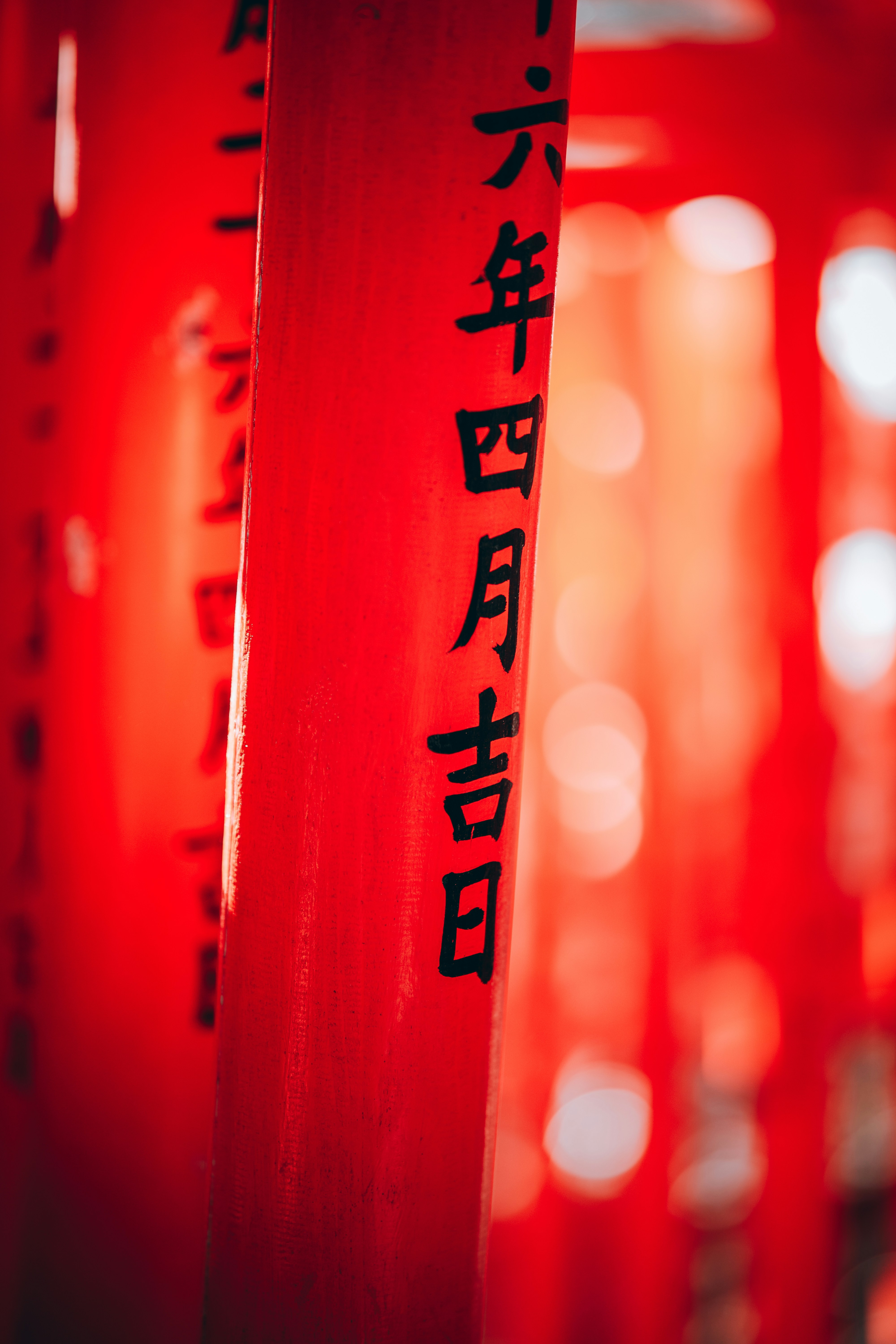 Photo by shields_mcmxcix