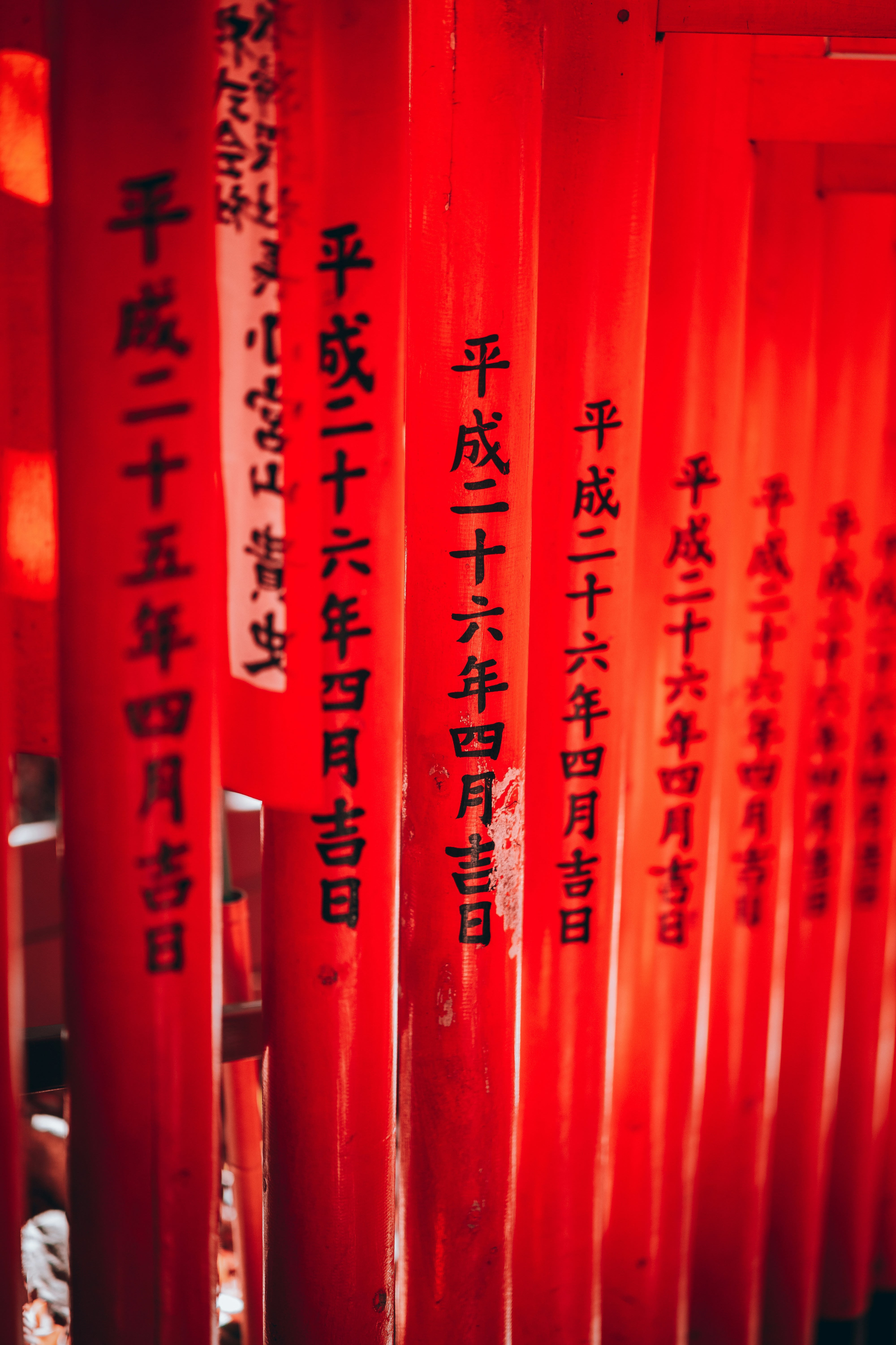 Photo by shields_mcmxcix