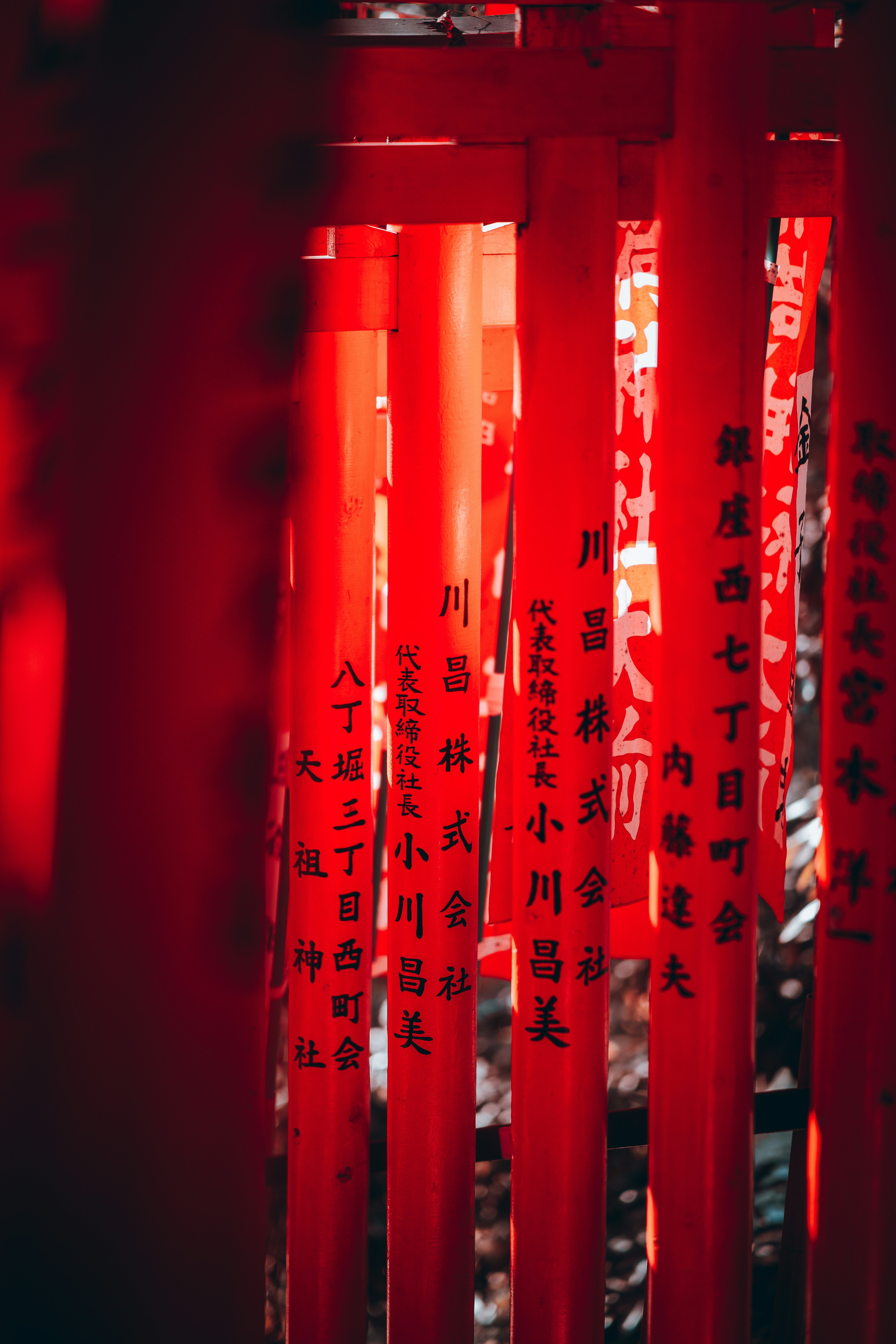 Photo by shields_mcmxcix