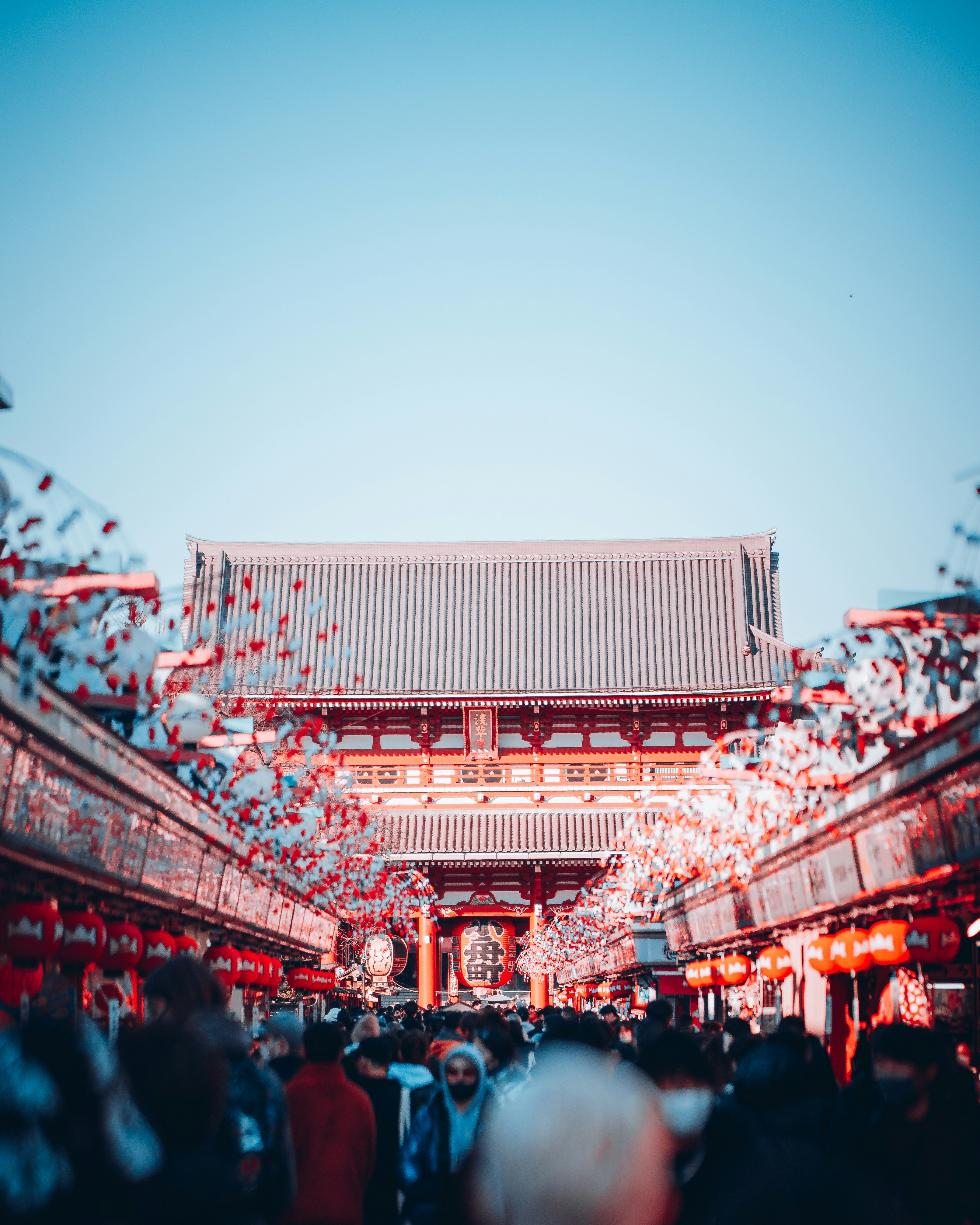 Photo by shields_mcmxcix