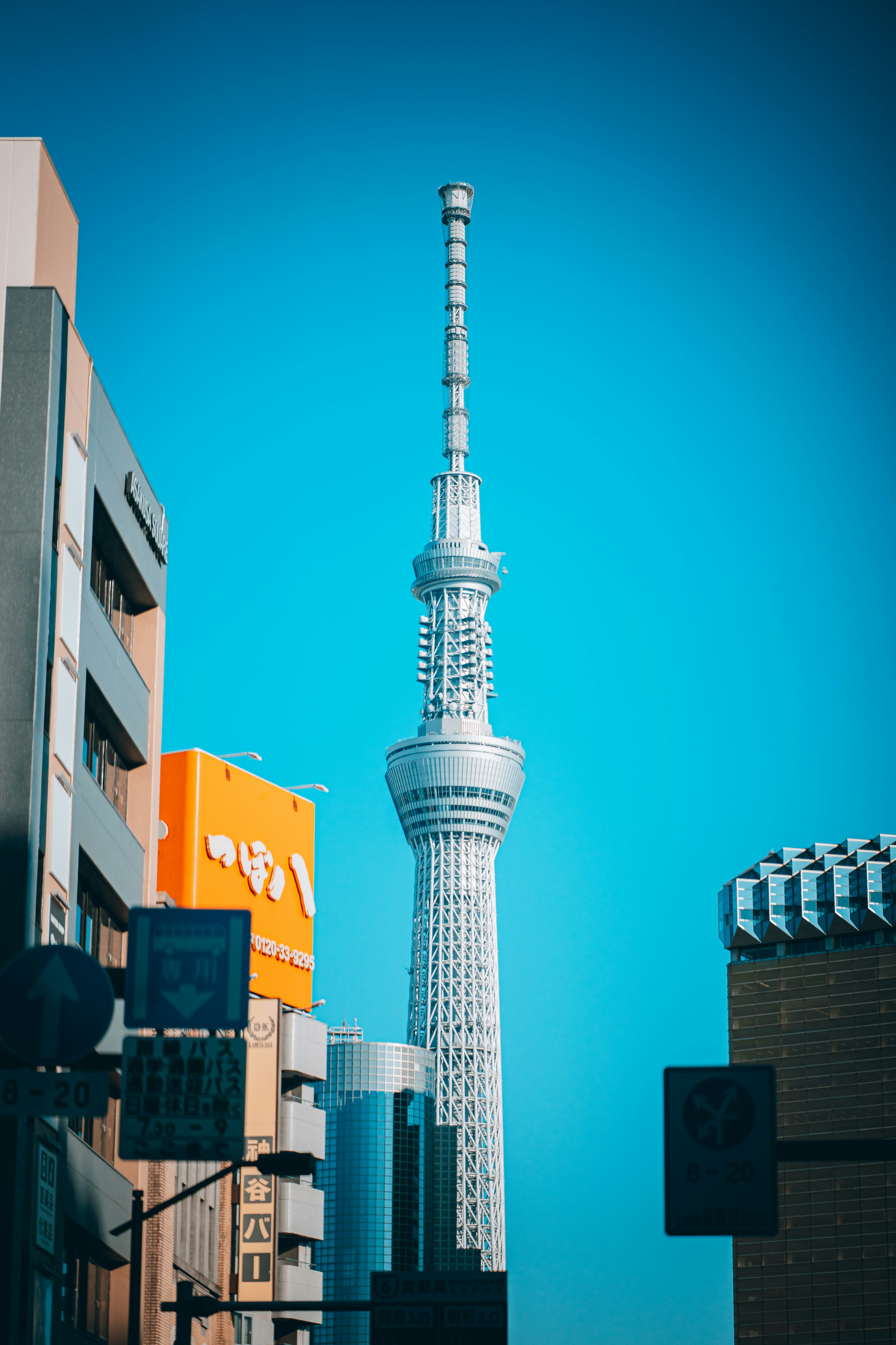 Photo by shields_mcmxcix