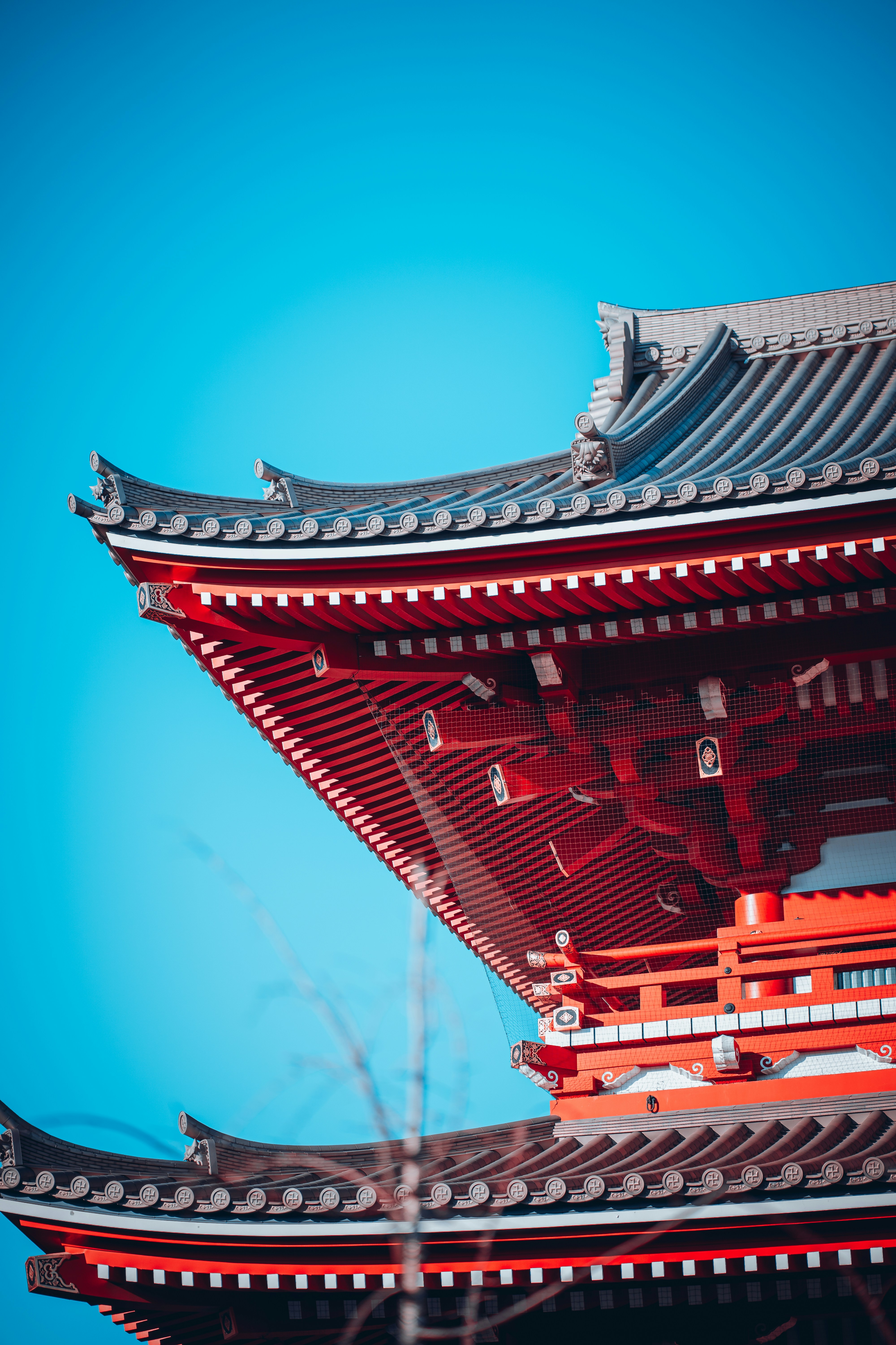 Photo by shields_mcmxcix