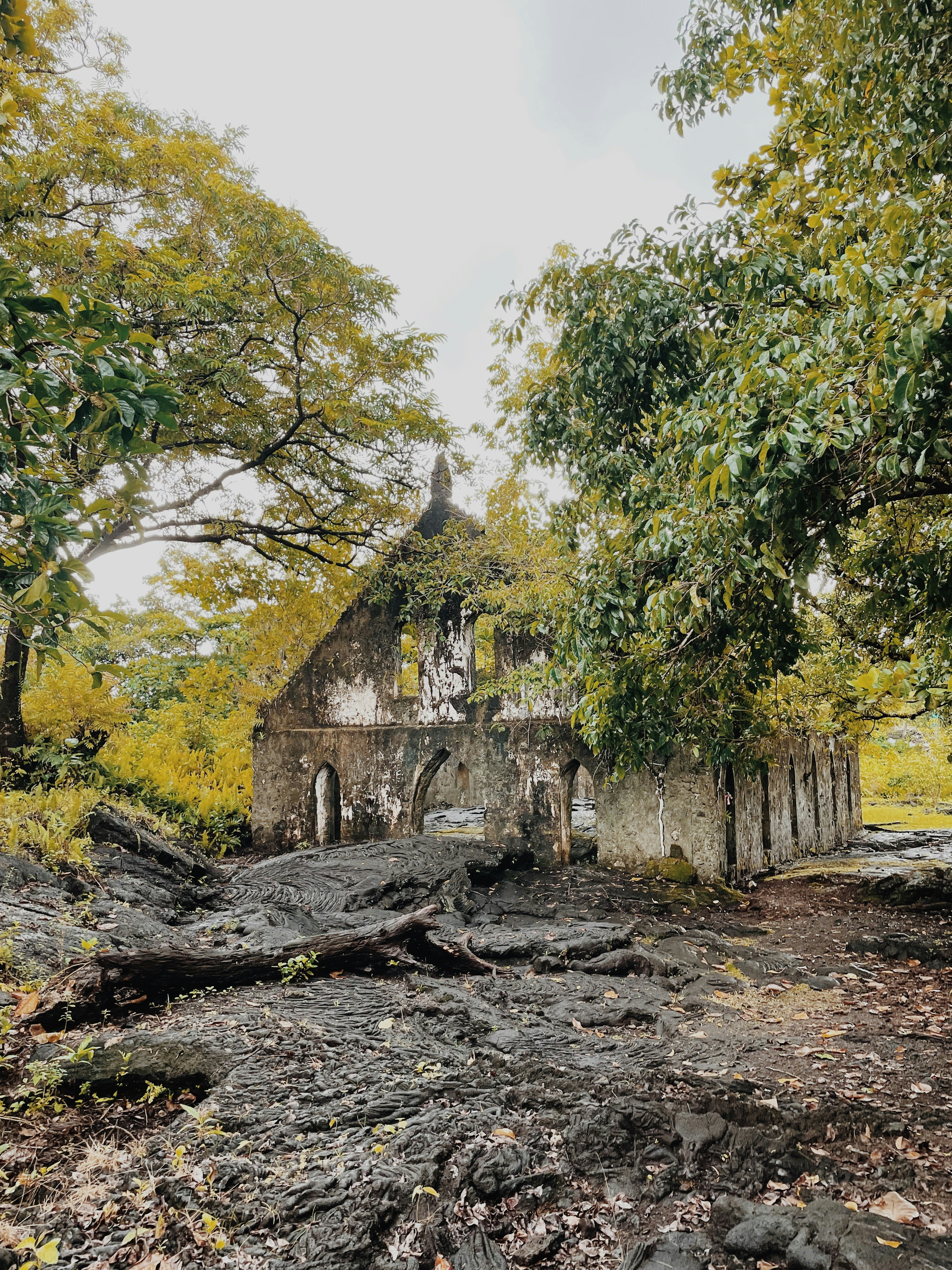 an old church in the middle of a forest