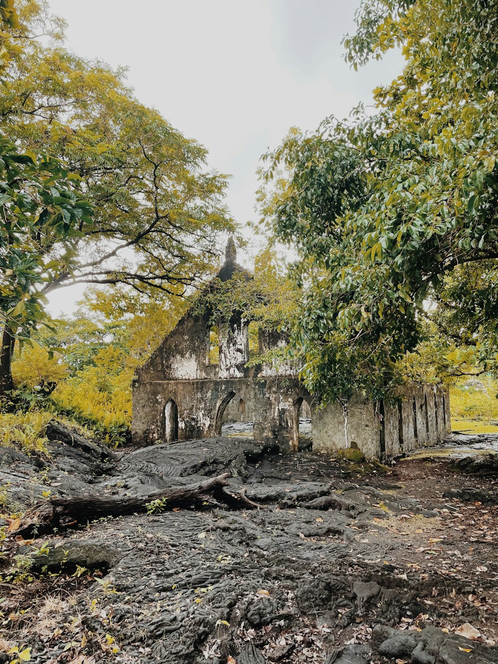 an old church in the middle of a forest