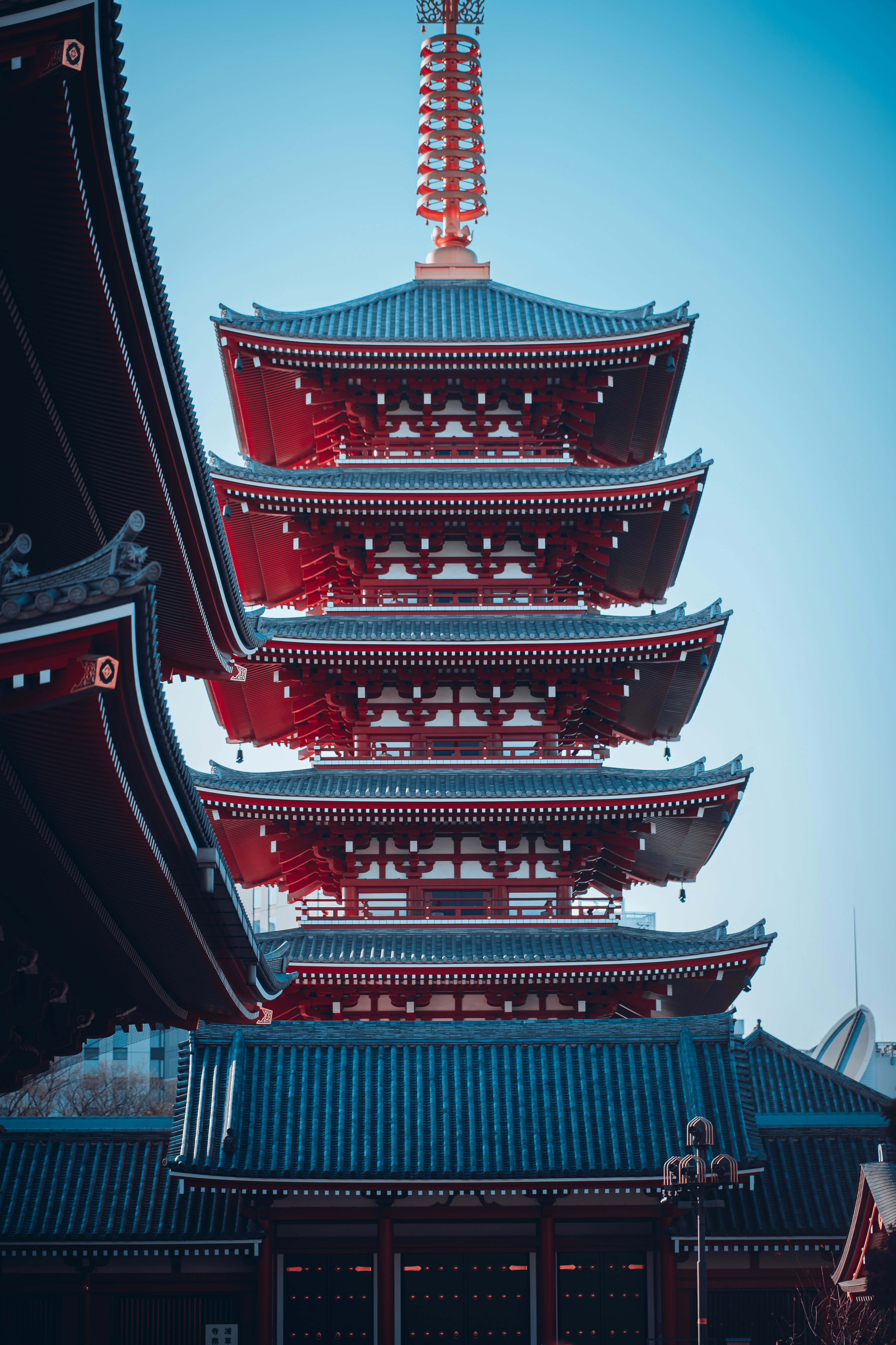 Photo by shields_mcmxcix