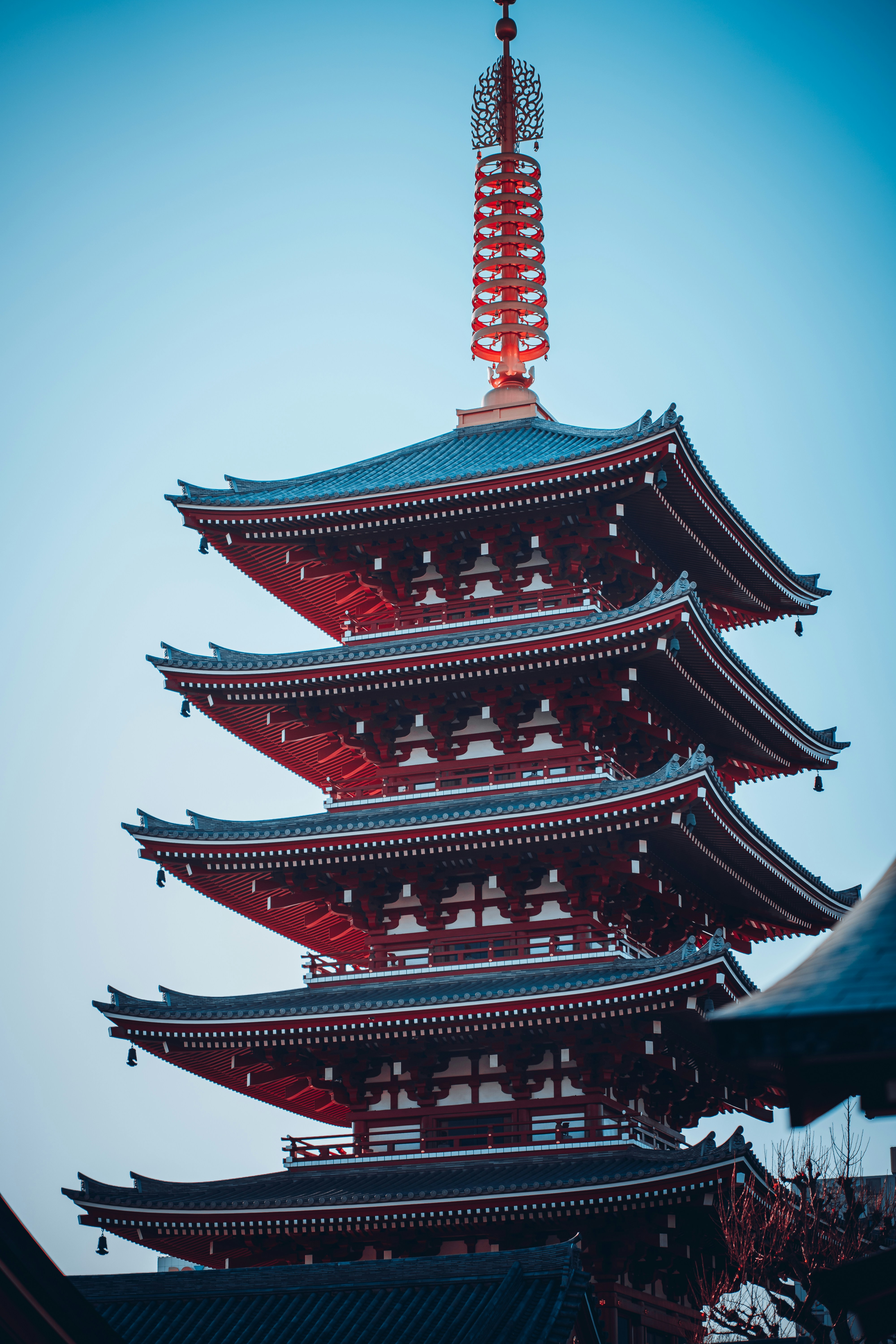 Photo by shields_mcmxcix