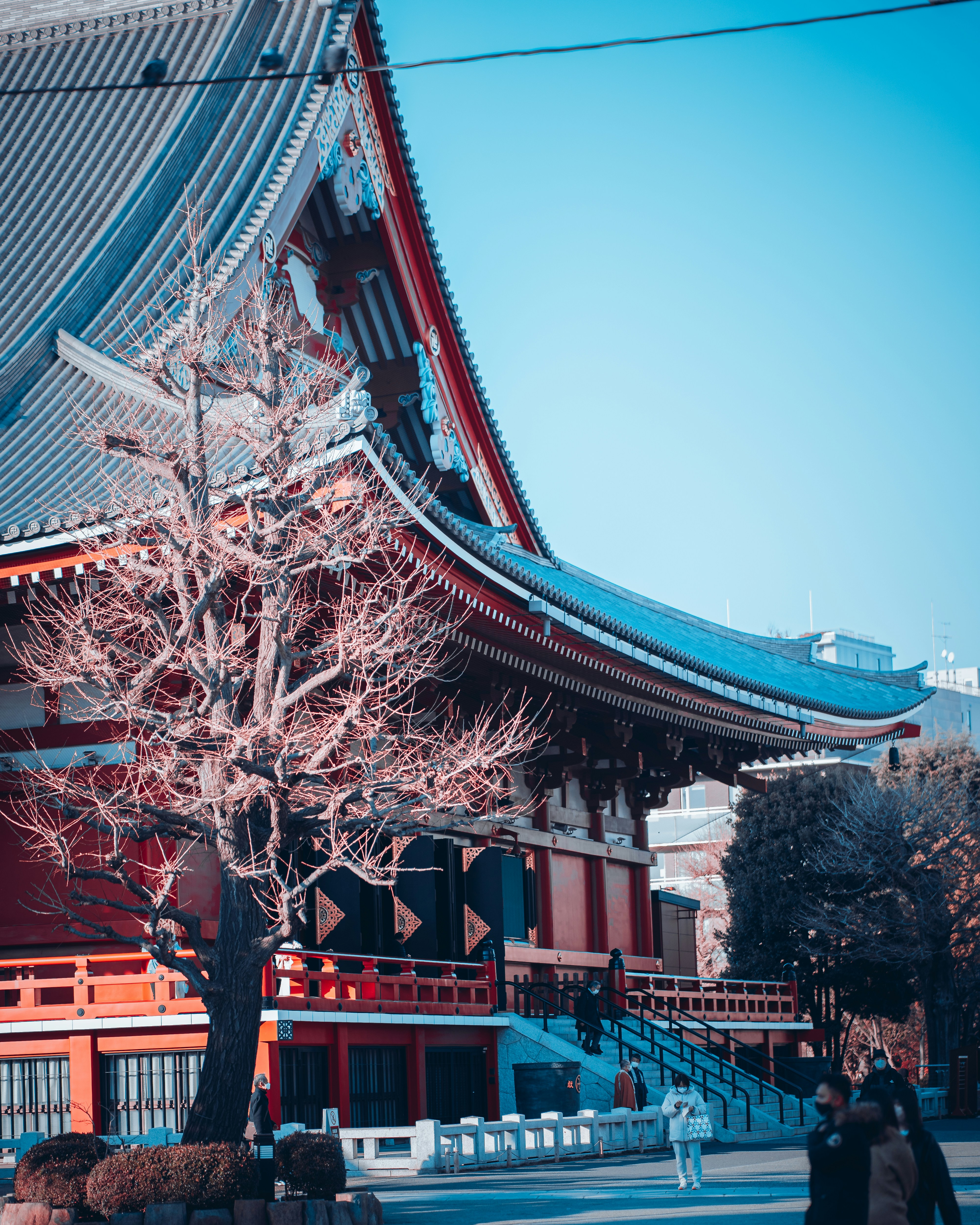 Photo by shields_mcmxcix