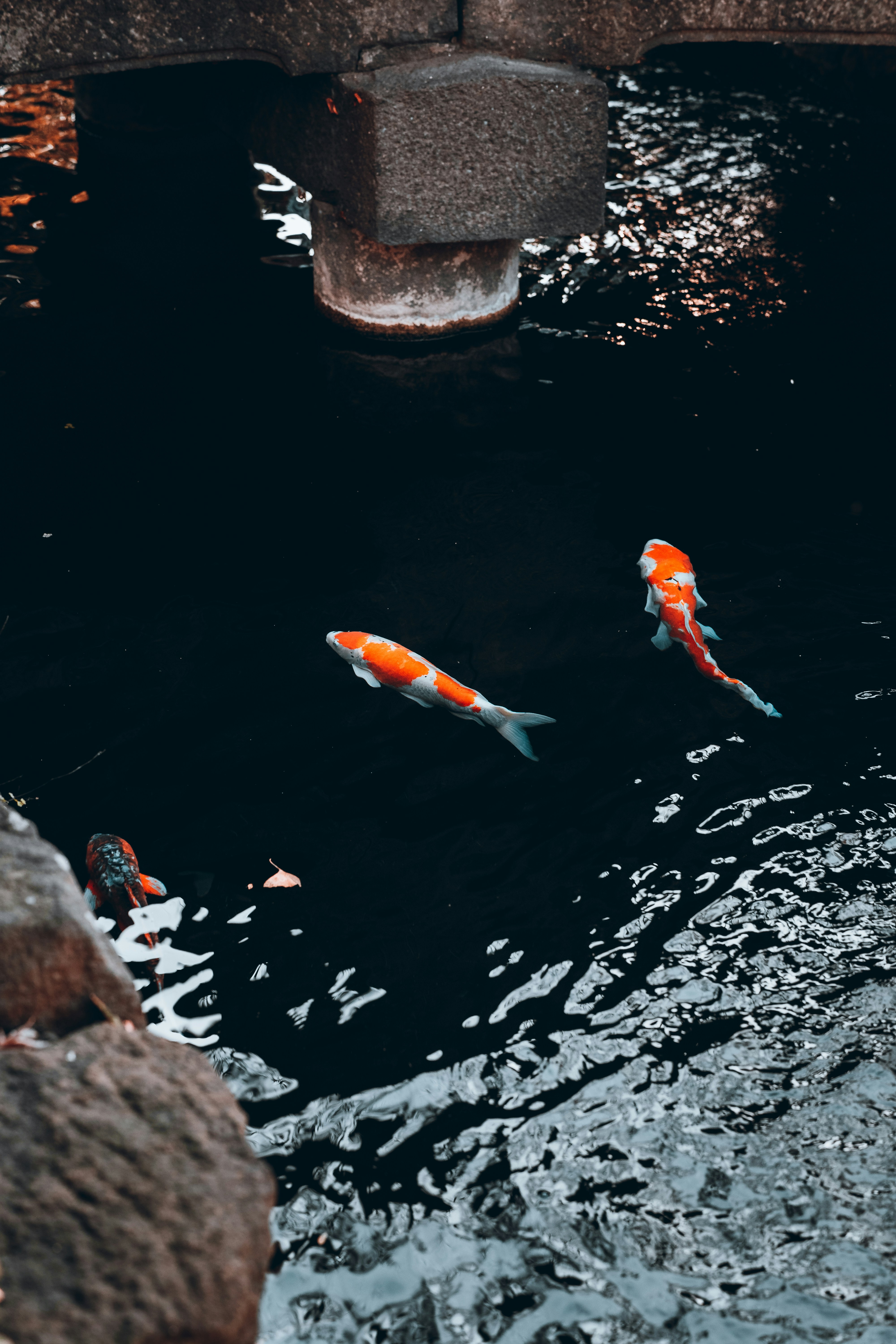 Photo by shields_mcmxcix