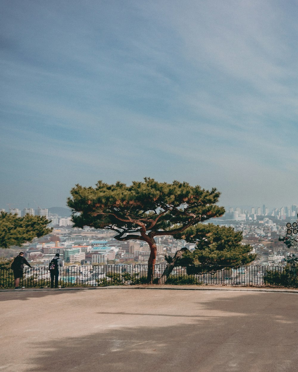 a man standing next to a tree on top of a hill