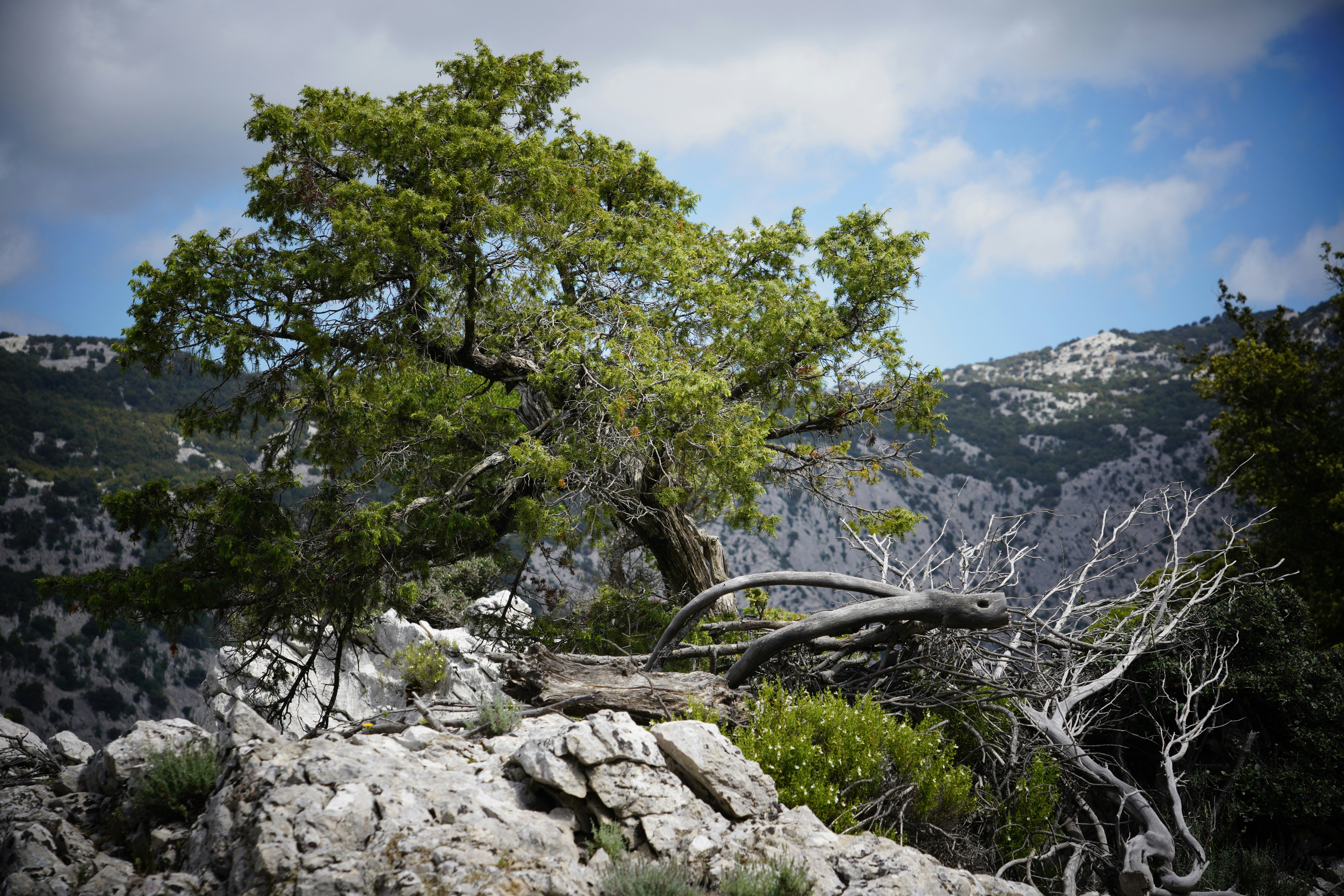 Photo by sardinien_blog