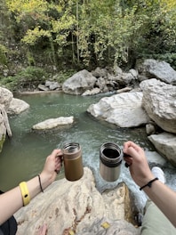Hands are holding two metal cups over a rocky stream with clear water surrounded by lush green trees and large rocks. The surrounding forest is dense and the atmosphere seems serene and natural.