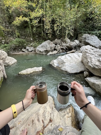 Hands are holding two metal cups over a rocky stream with clear water surrounded by lush green trees and large rocks. The surrounding forest is dense and the atmosphere seems serene and natural.