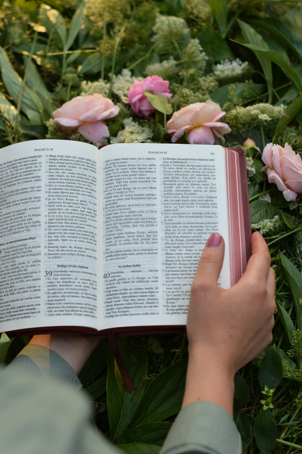 a person reading a book in a field of flowers