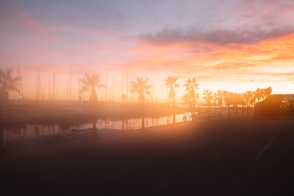the sun is setting over a marina with palm trees