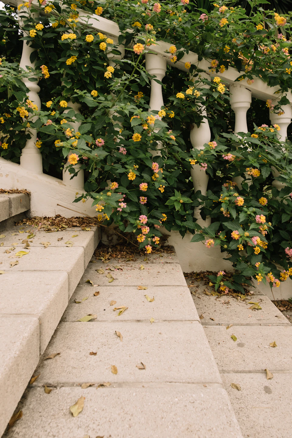 White stone staircase with yellow flowers and lush greenery in the background