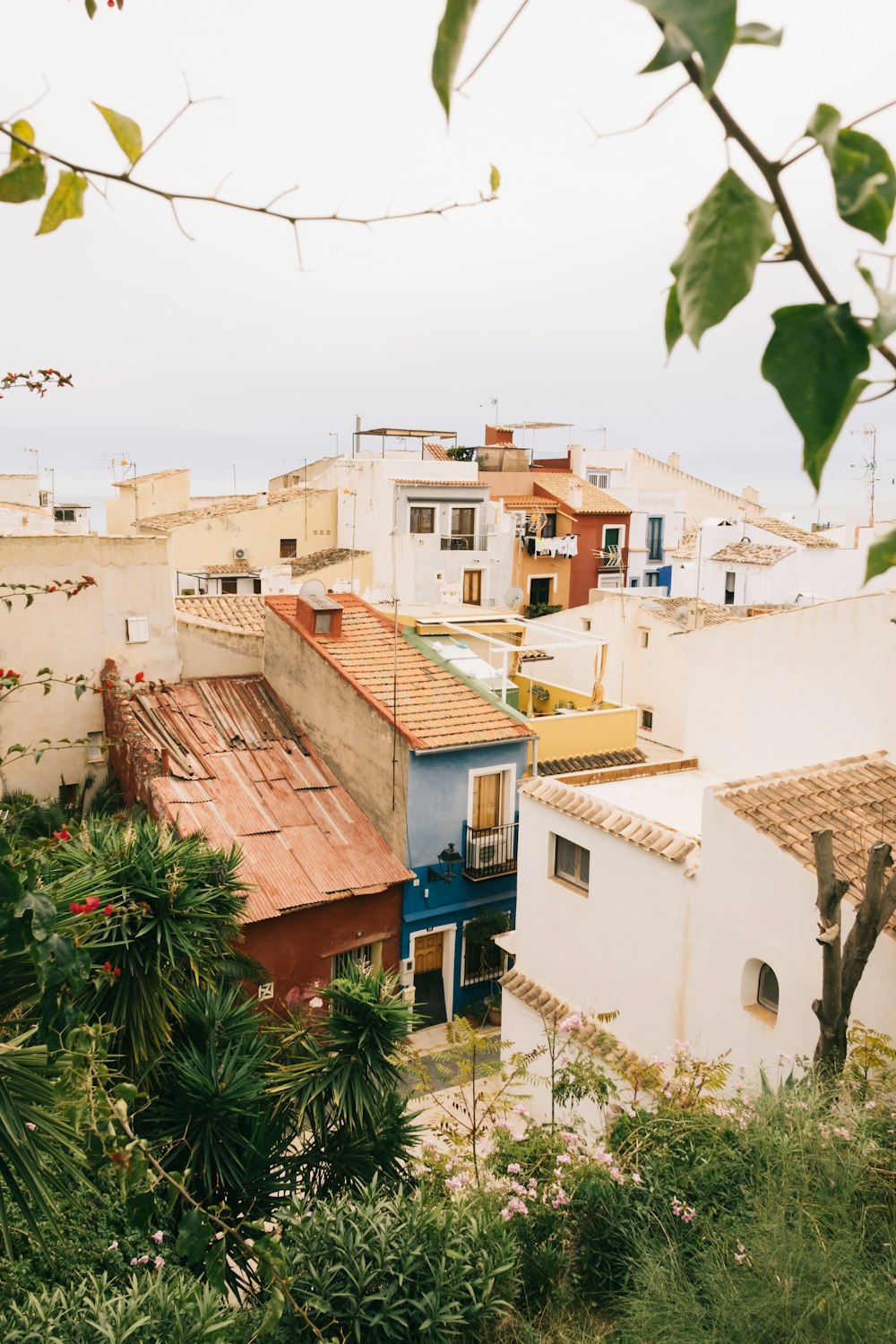 a view of a city from a hill