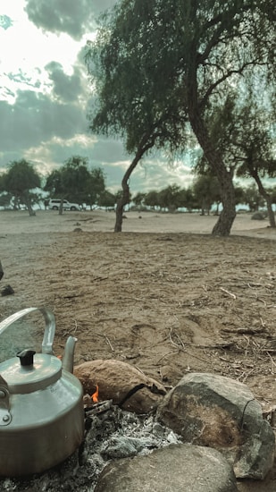 A serene landscape featuring a rustic outdoor setting with trees scattered across a sandy terrain. In the foreground, a metal kettle sits on a makeshift stone campfire, with a faint flicker of flame visible. The sky above is partially cloudy, casting a soft light over the scene.