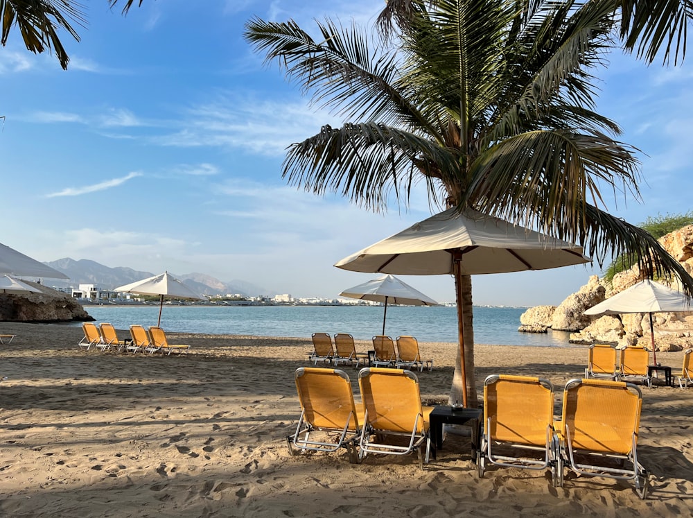 a beach with chairs and umbrellas on the sand