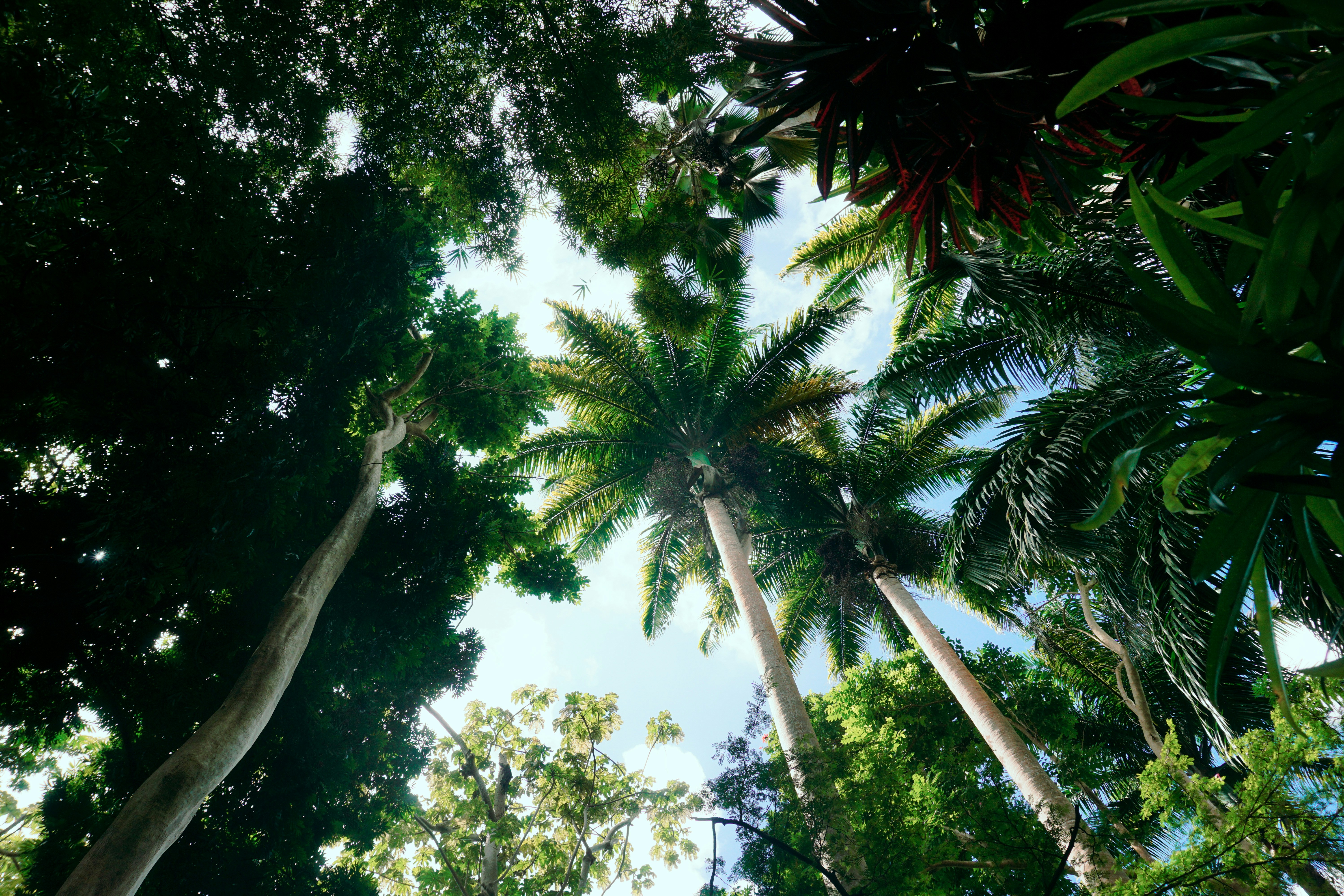 Photo by chloechristinemarketing