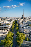 the eiffel tower towering over the city of paris