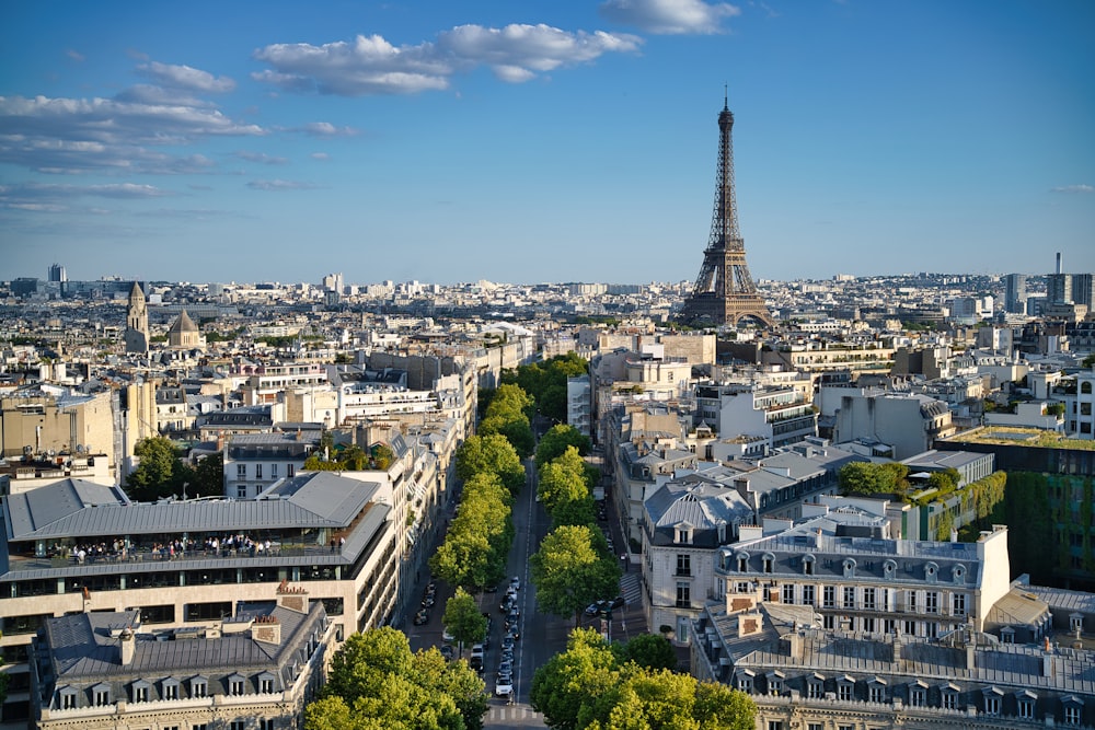 the eiffel tower towering over the city of paris