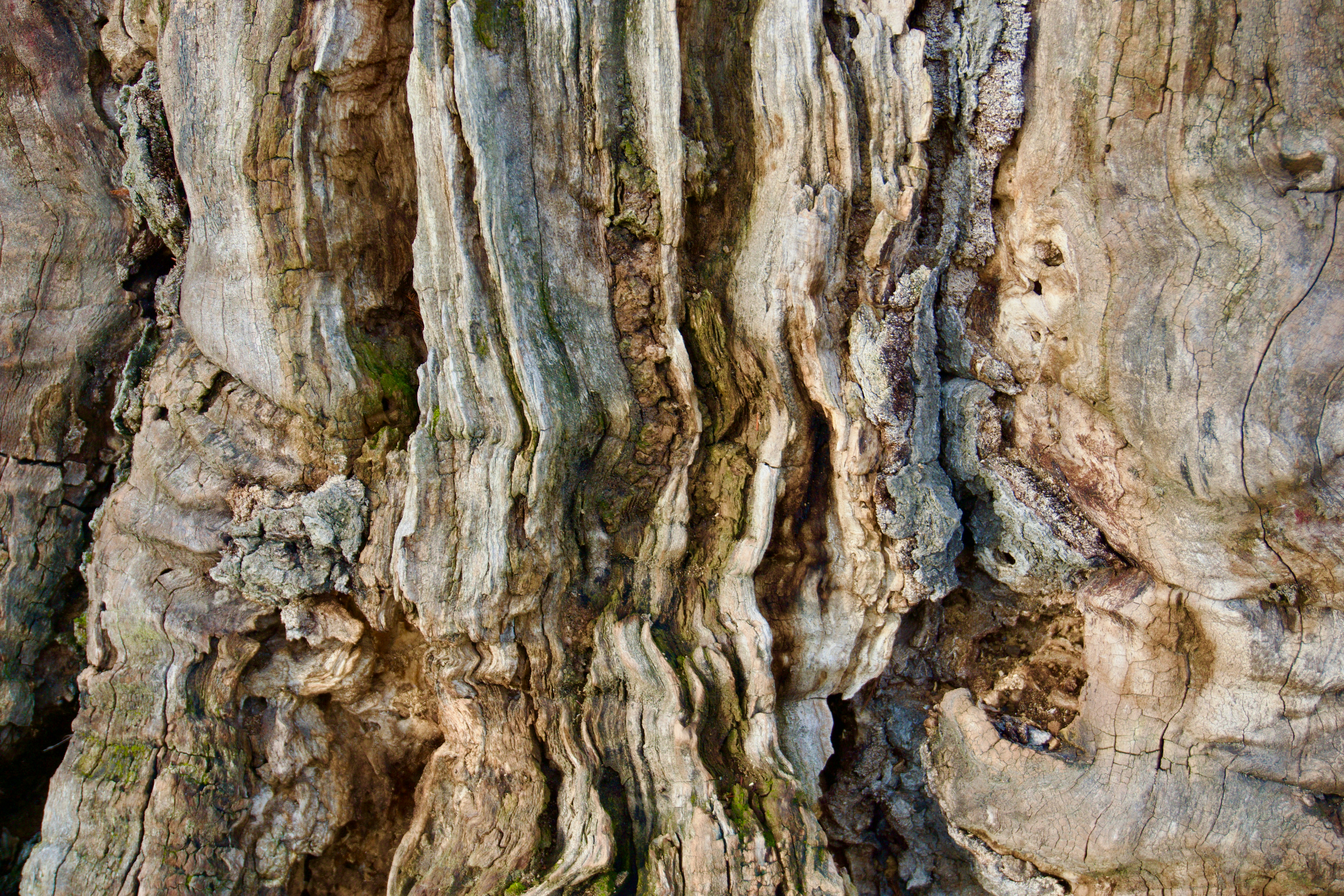 Photo by hasantayyar