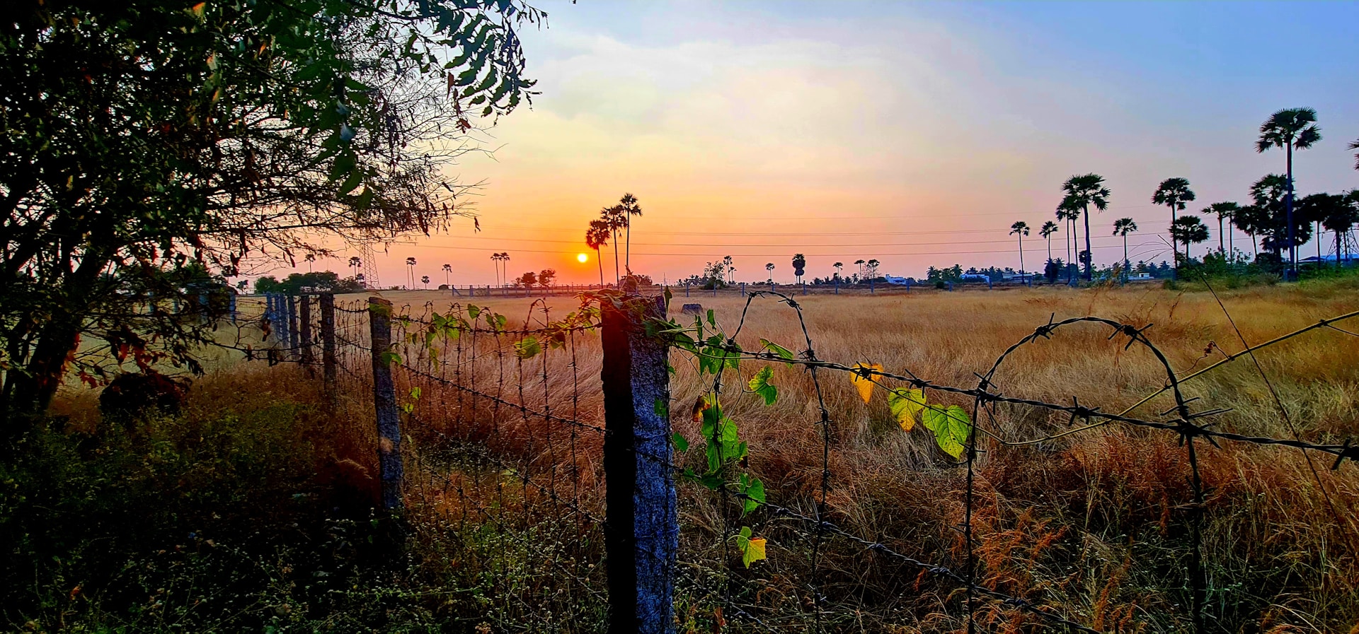 A cinematic shot of a rugged Texas ranch bathed in warm, moody sunset light, capturing the essence of western heritage with a soft, feminine touch.