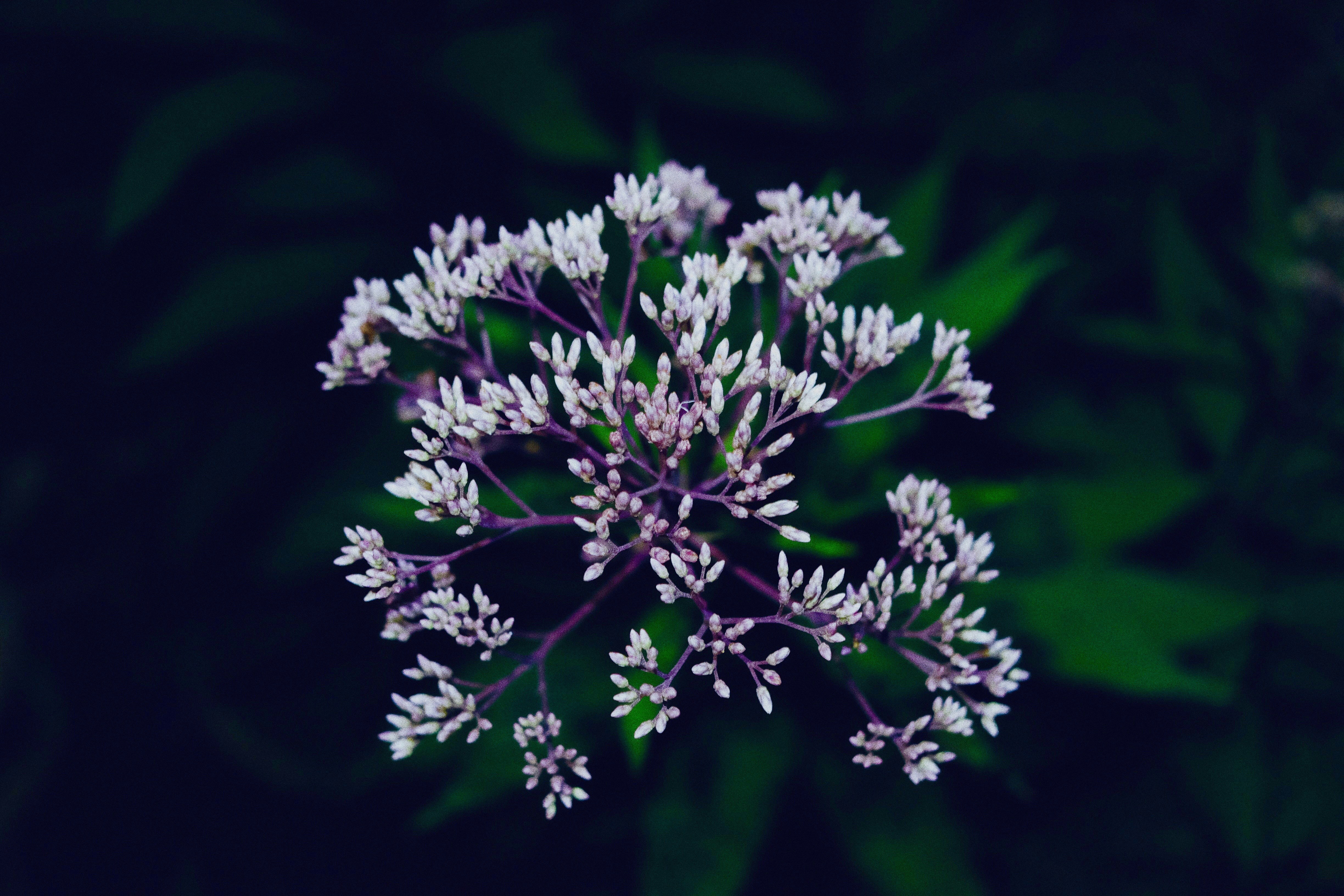 Photo by ryguyphotoguy