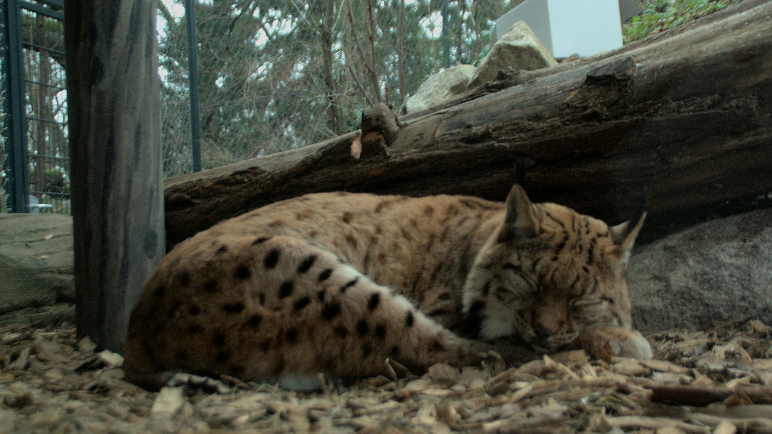 Photo by paulschnuerle