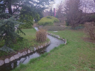 A minimalist dark-mode garden scene featuring a winding, softly illuminated water stream.