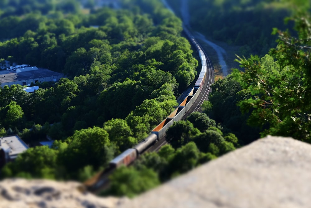 a train traveling through a lush green forest