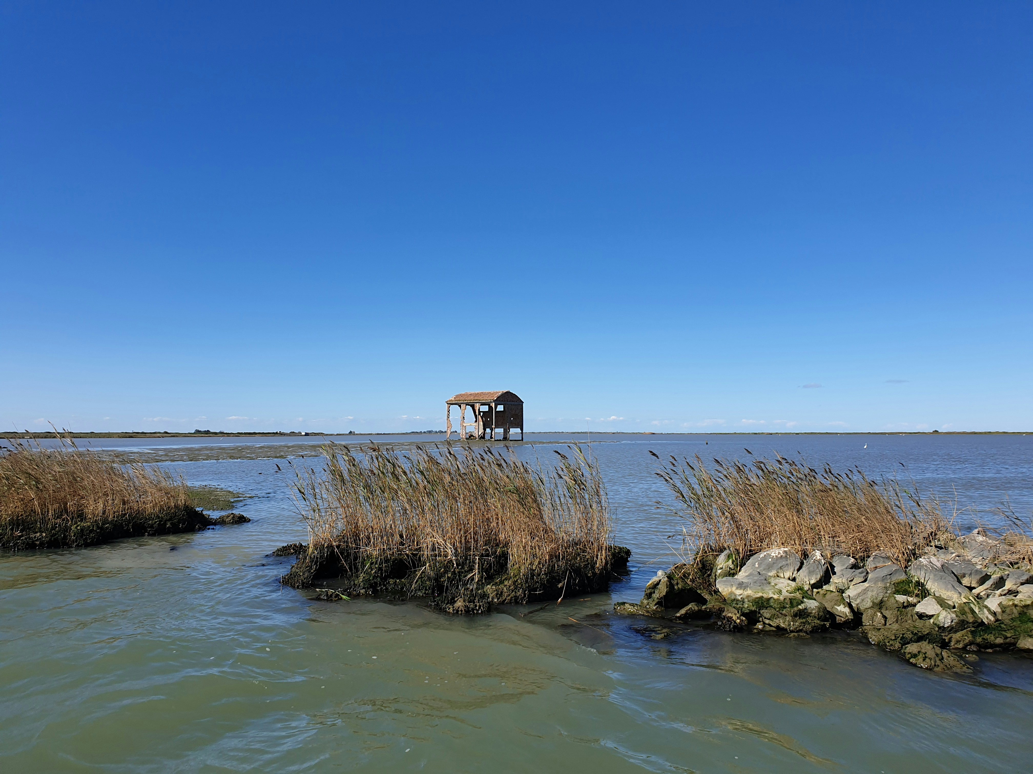 Going deep to return to the surface