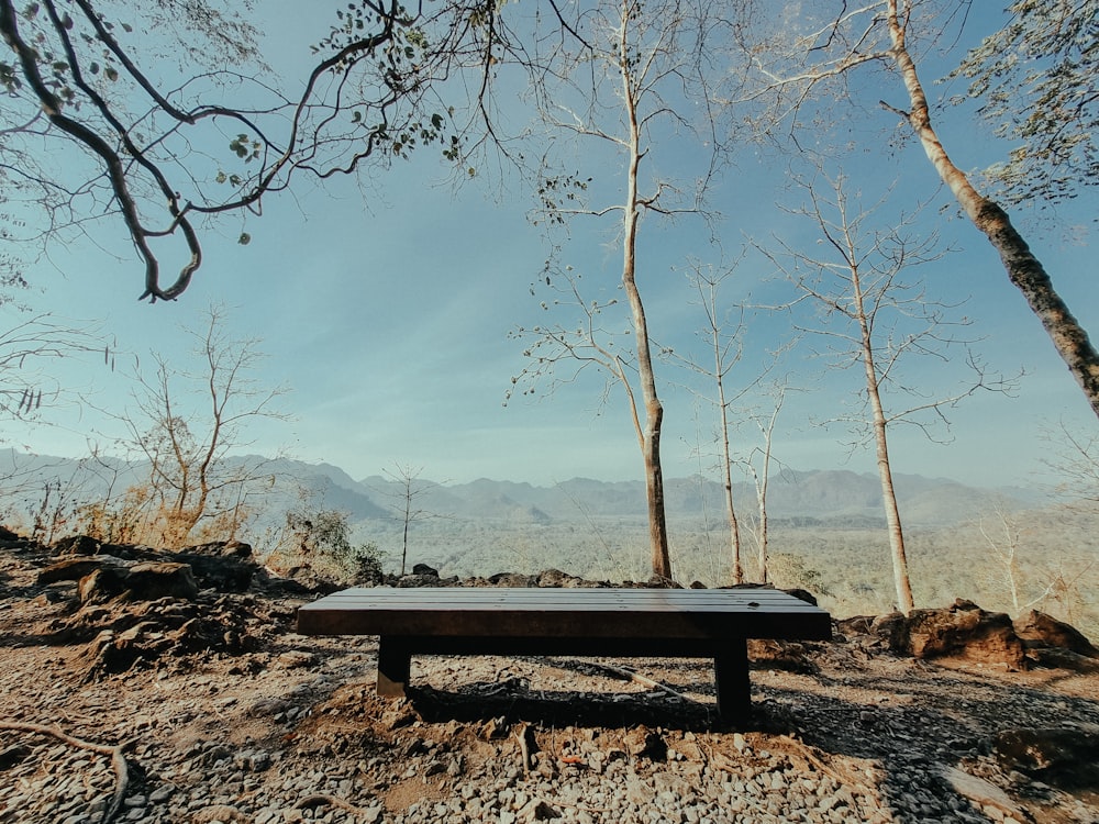 a wooden bench sitting in the middle of a forest