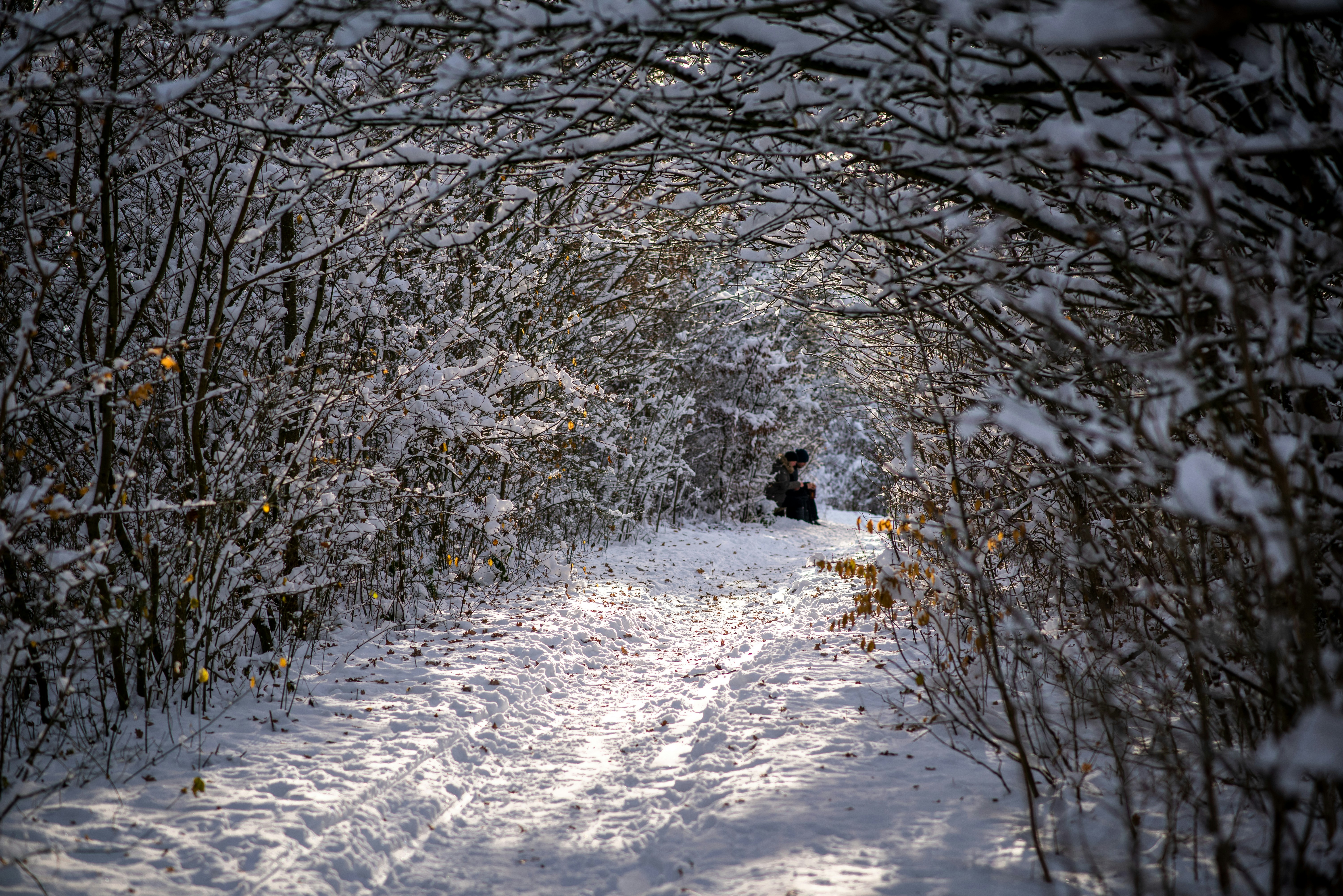 una persona seduta su una panchina nella neve