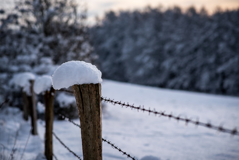 a fence covered in snow next to a forest