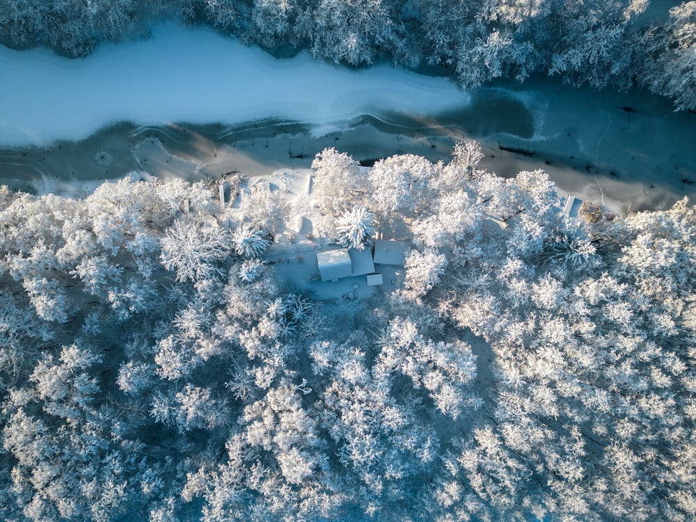 an aerial view of a snow covered forest