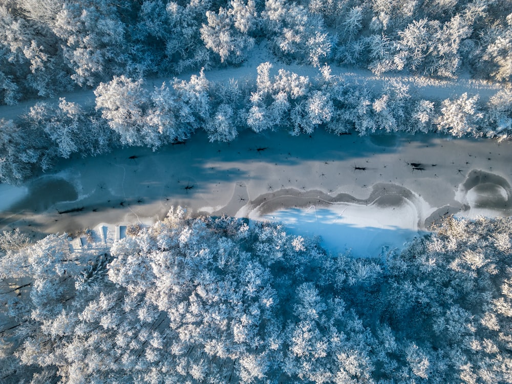 an aerial view of snow covered trees and a body of water