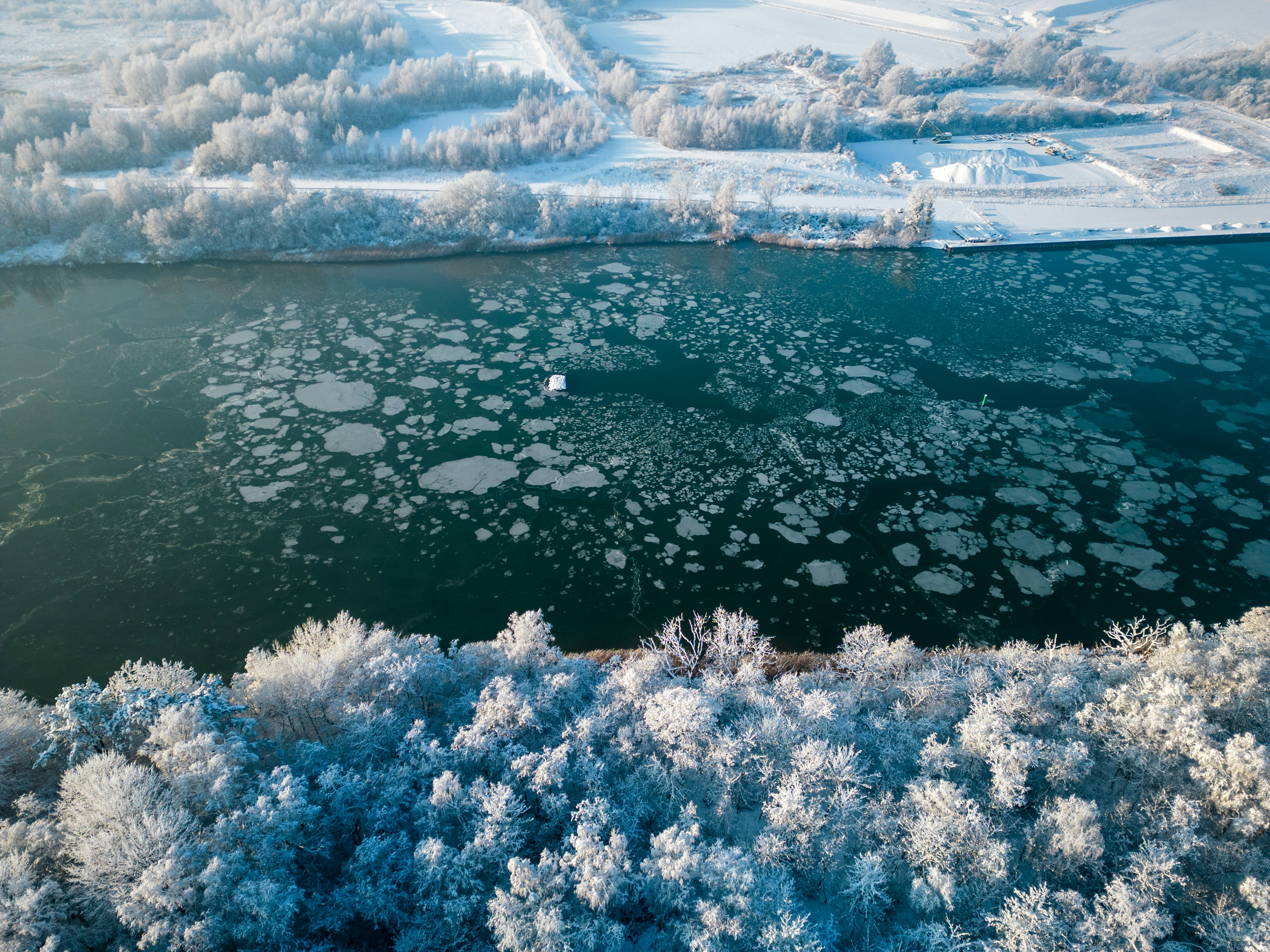 Climate Change: The Catalyst (image credits: unsplash)