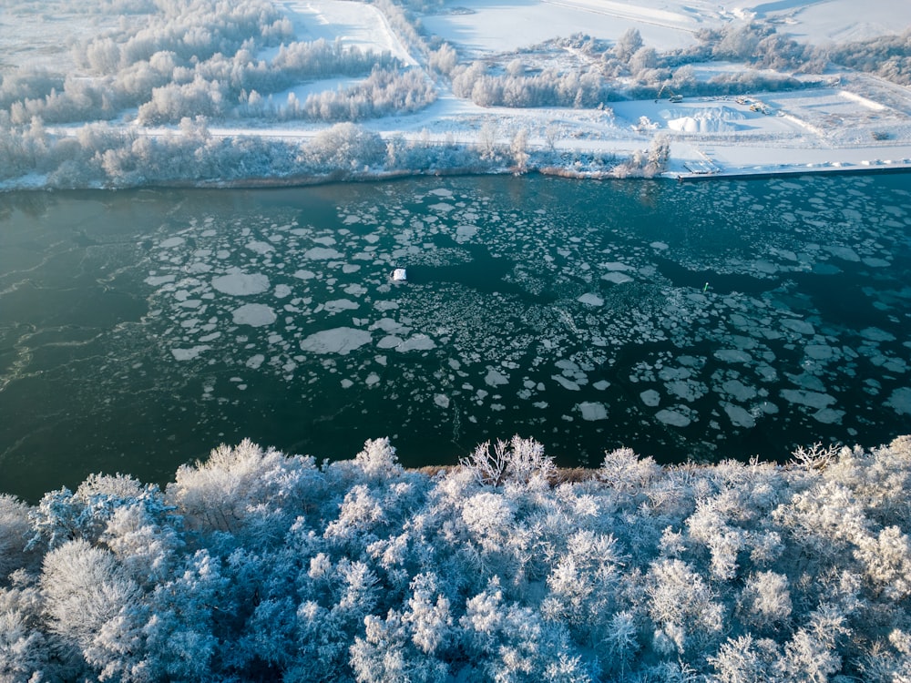 a large body of water surrounded by snow covered trees