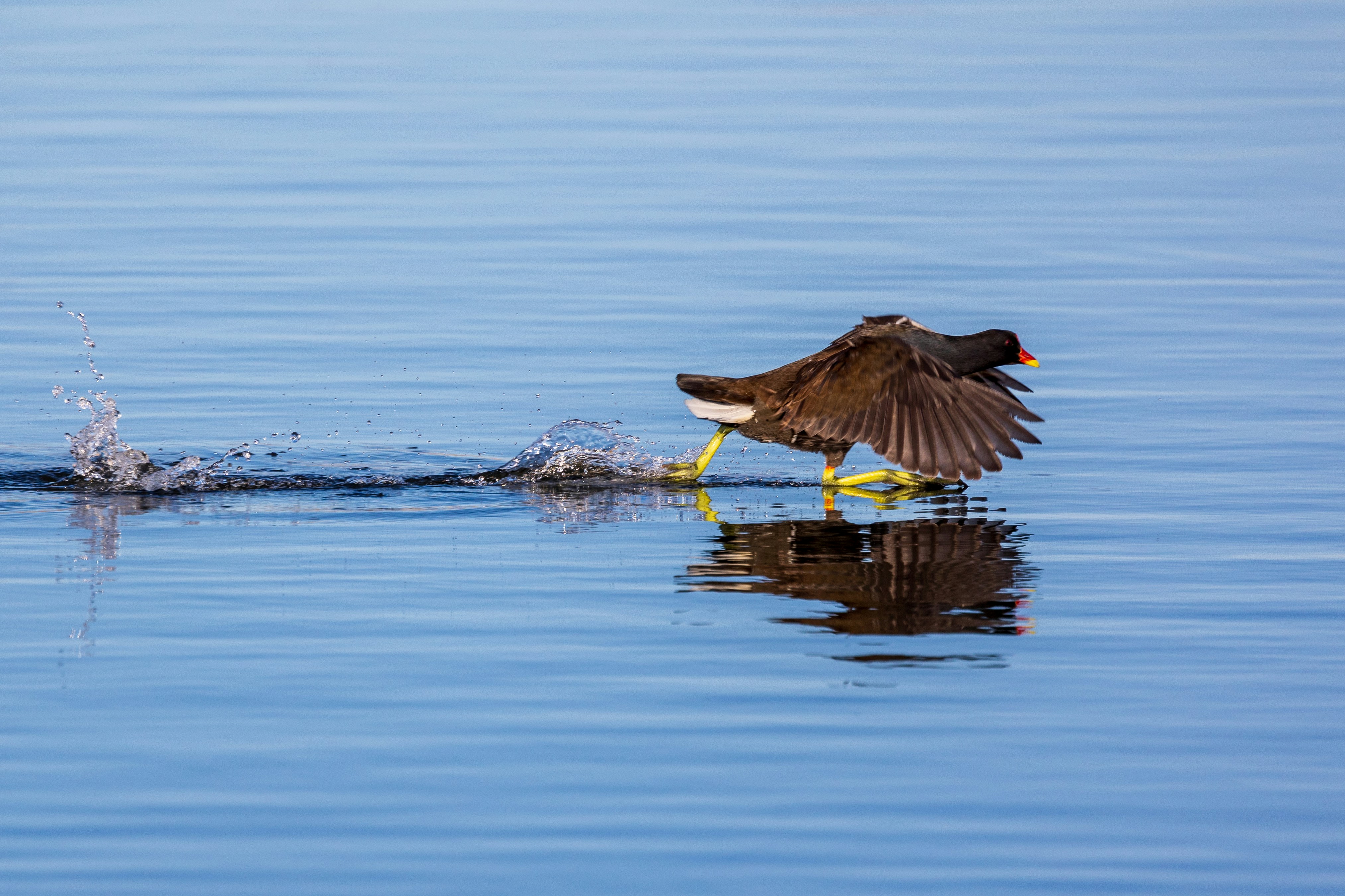 Photo by octopus_photo