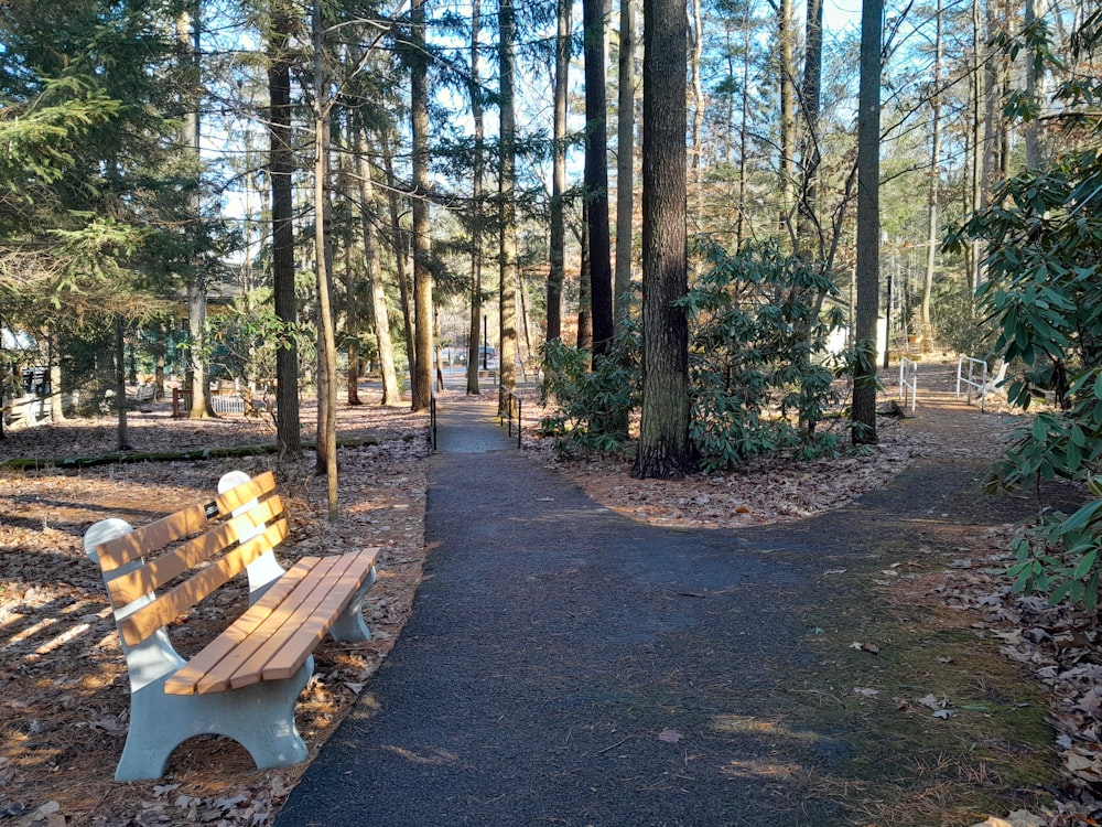 a wooden bench sitting in the middle of a forest